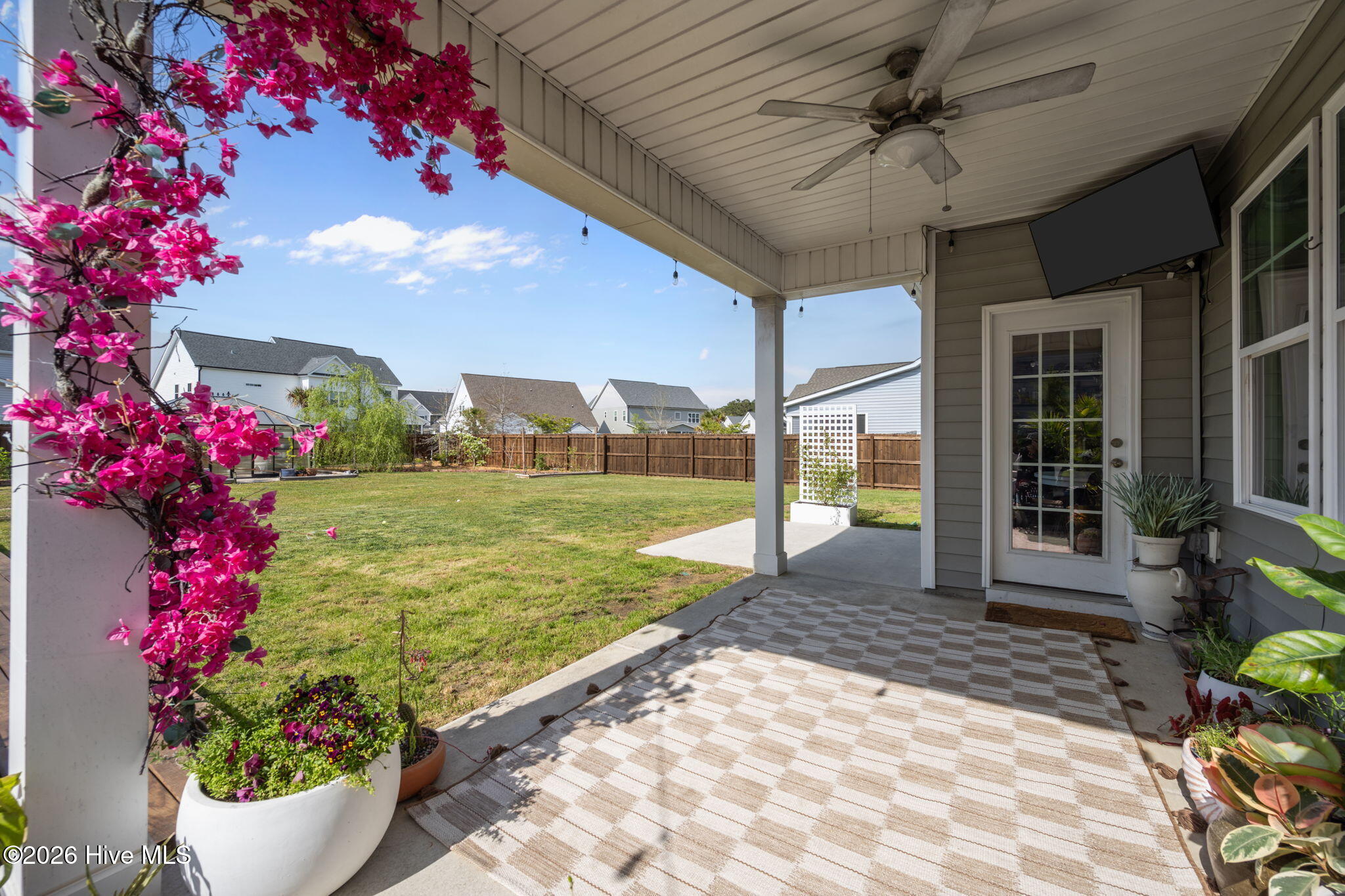 100566111 | Photo 43