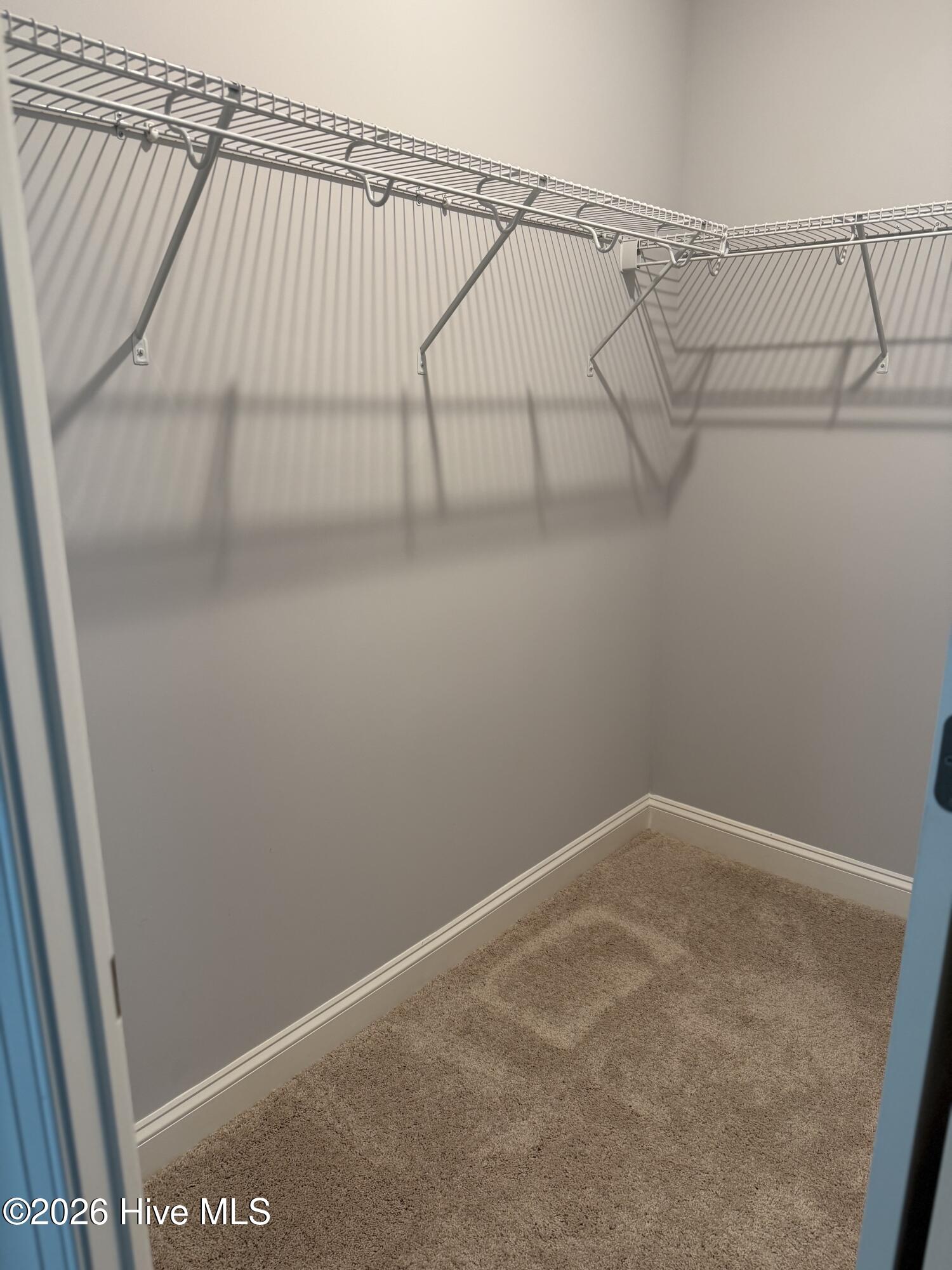 100553075 | Photo 10