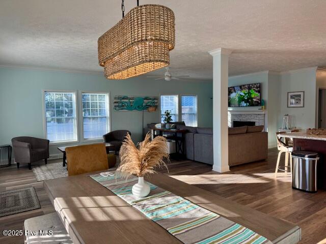 100545035 | Photo 19