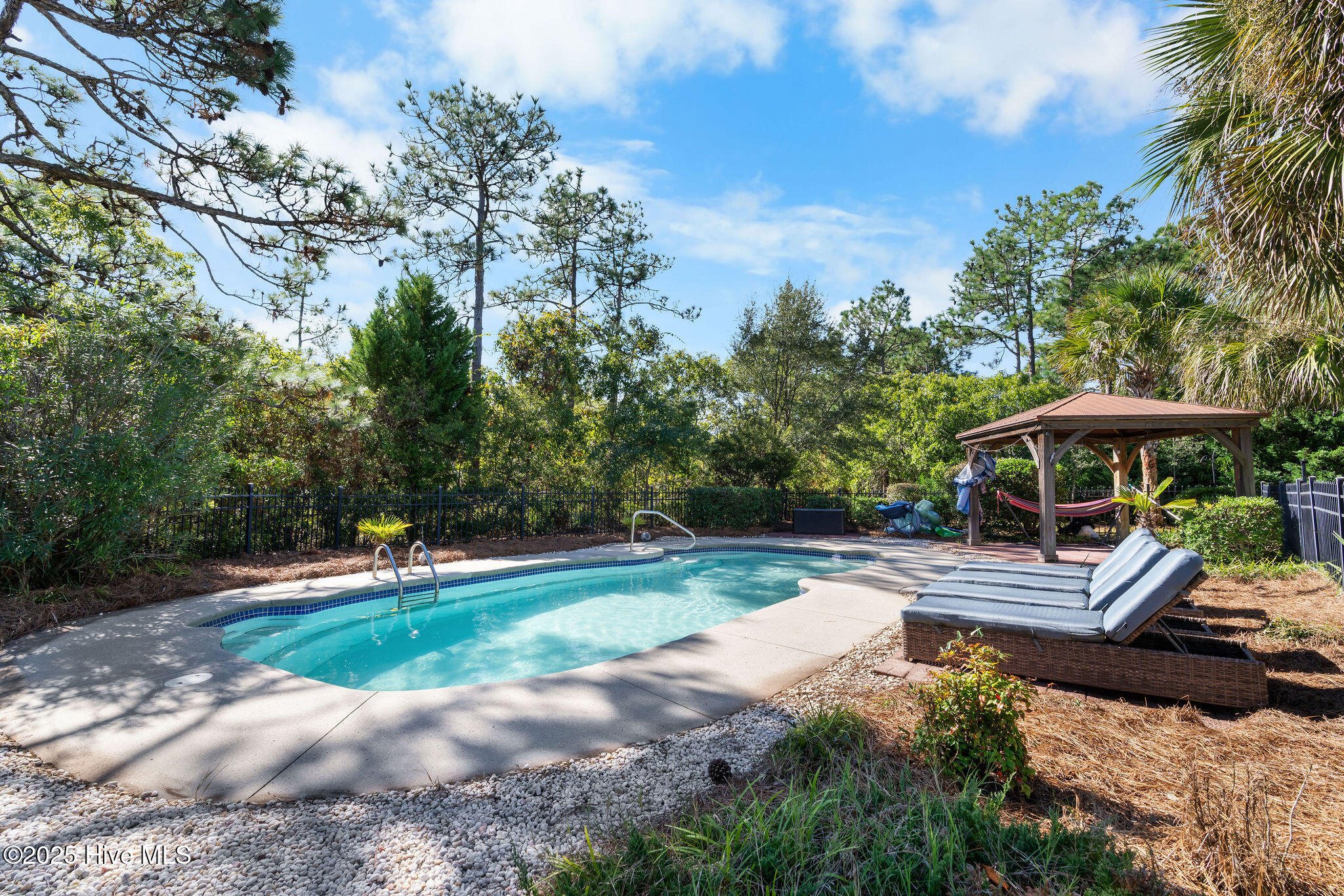 100539157 | Photo 20