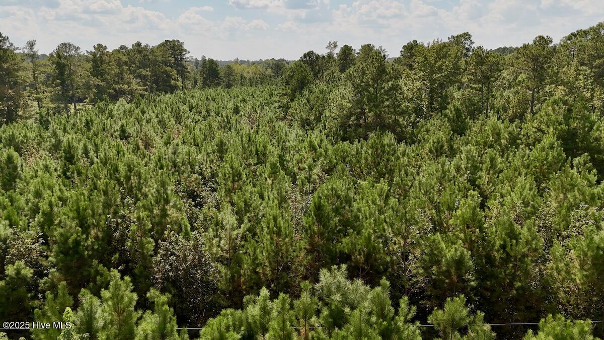 100531803 | Photo 23