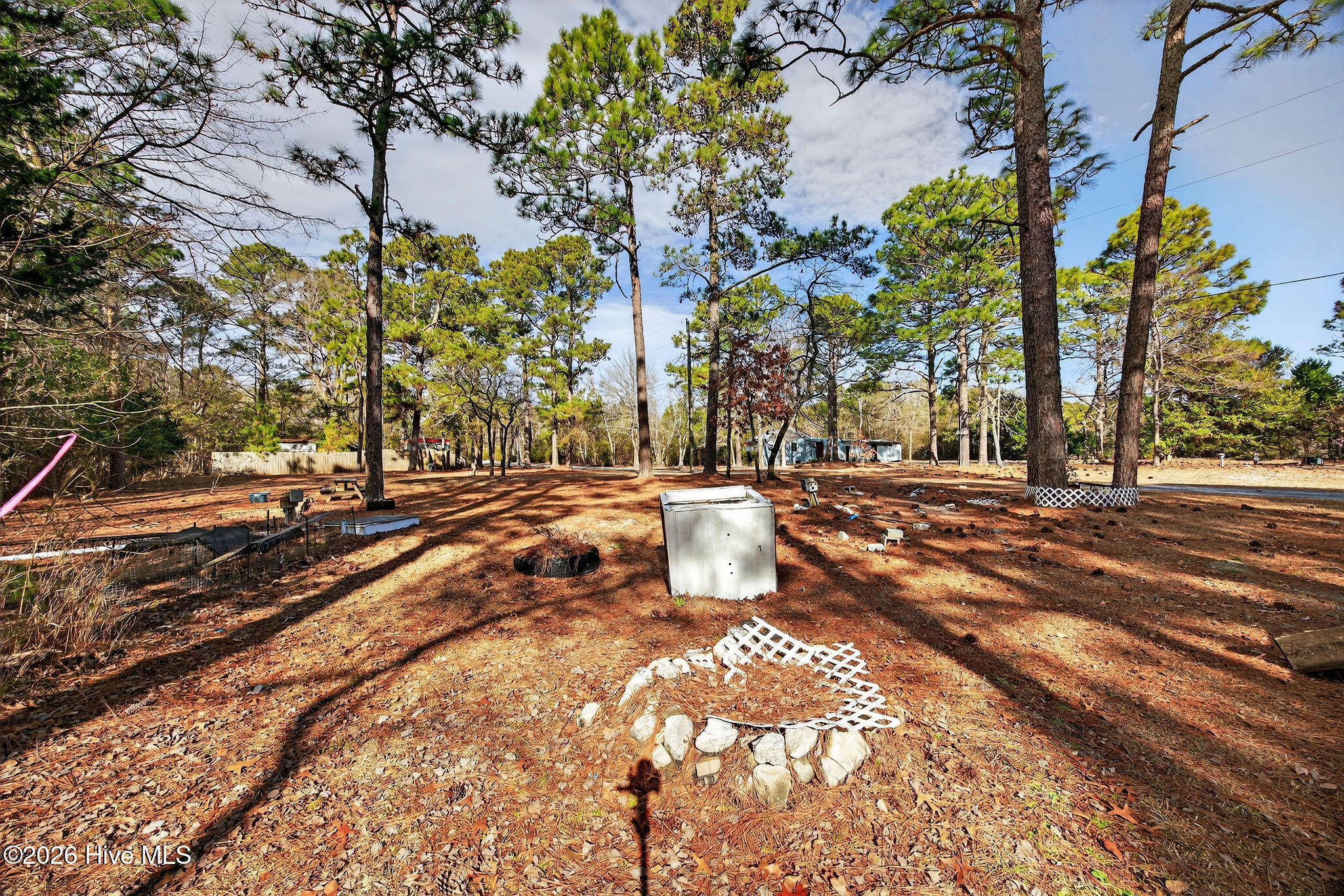 100552398 | Photo 39