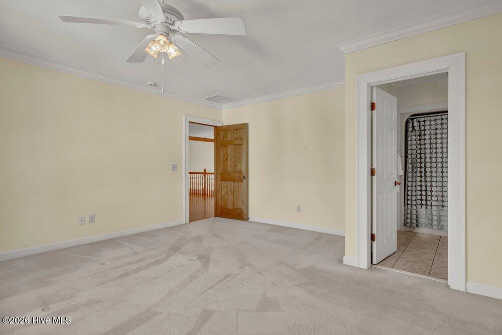 100558488 | Photo 40