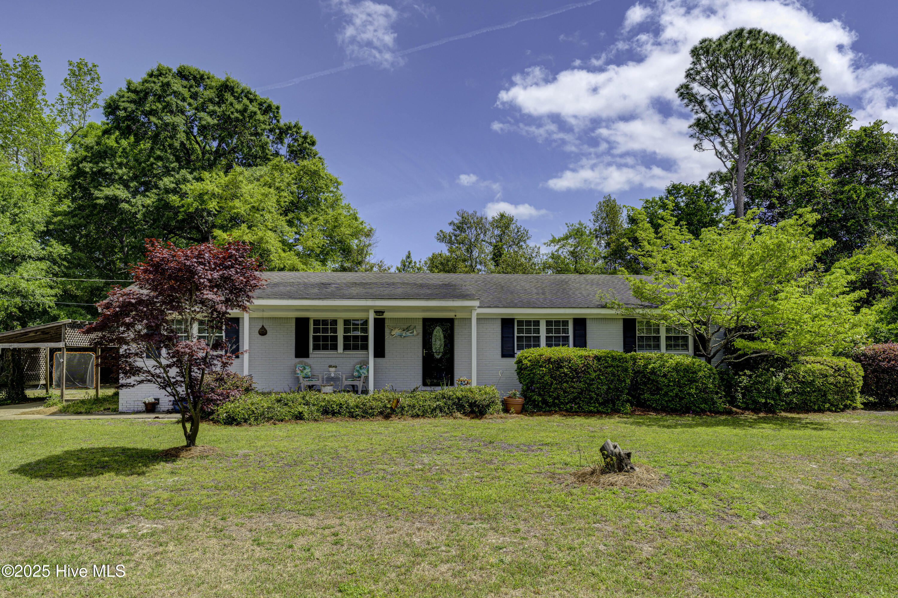 100525965 | Photo 39