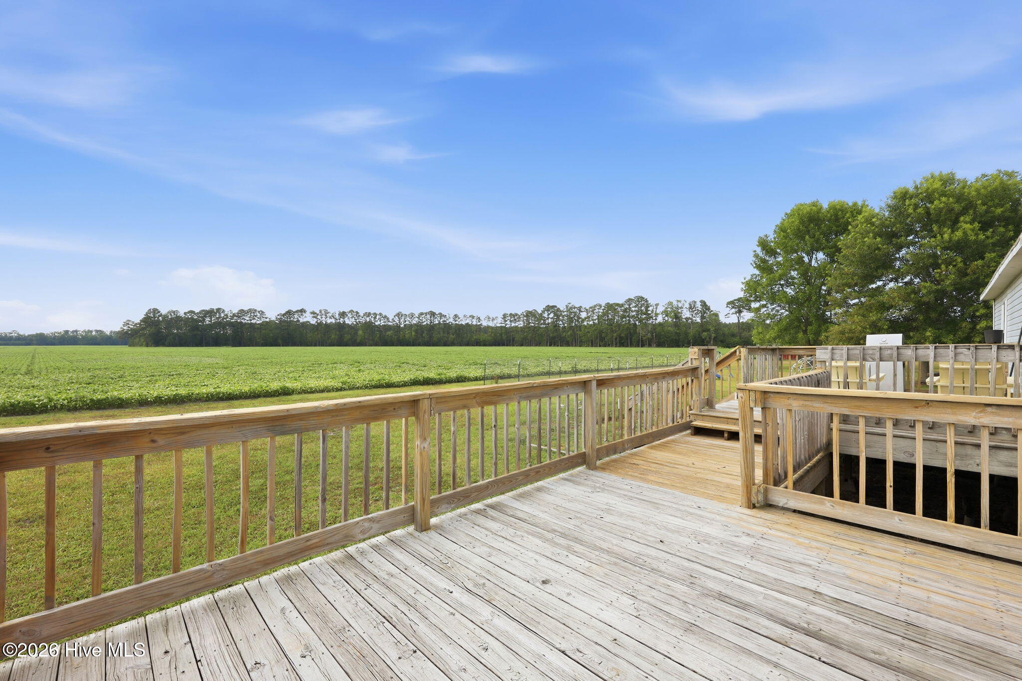 252 Heath Swamp Road,Cove City