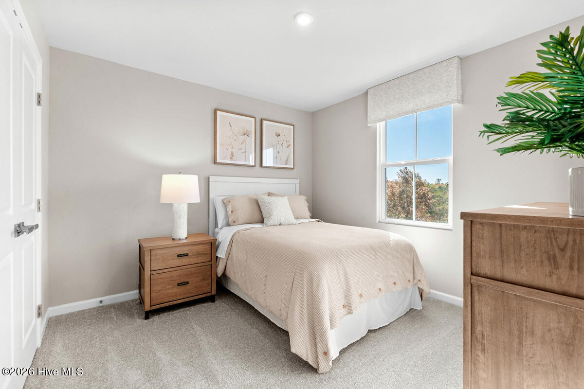 100564045 | Photo 32