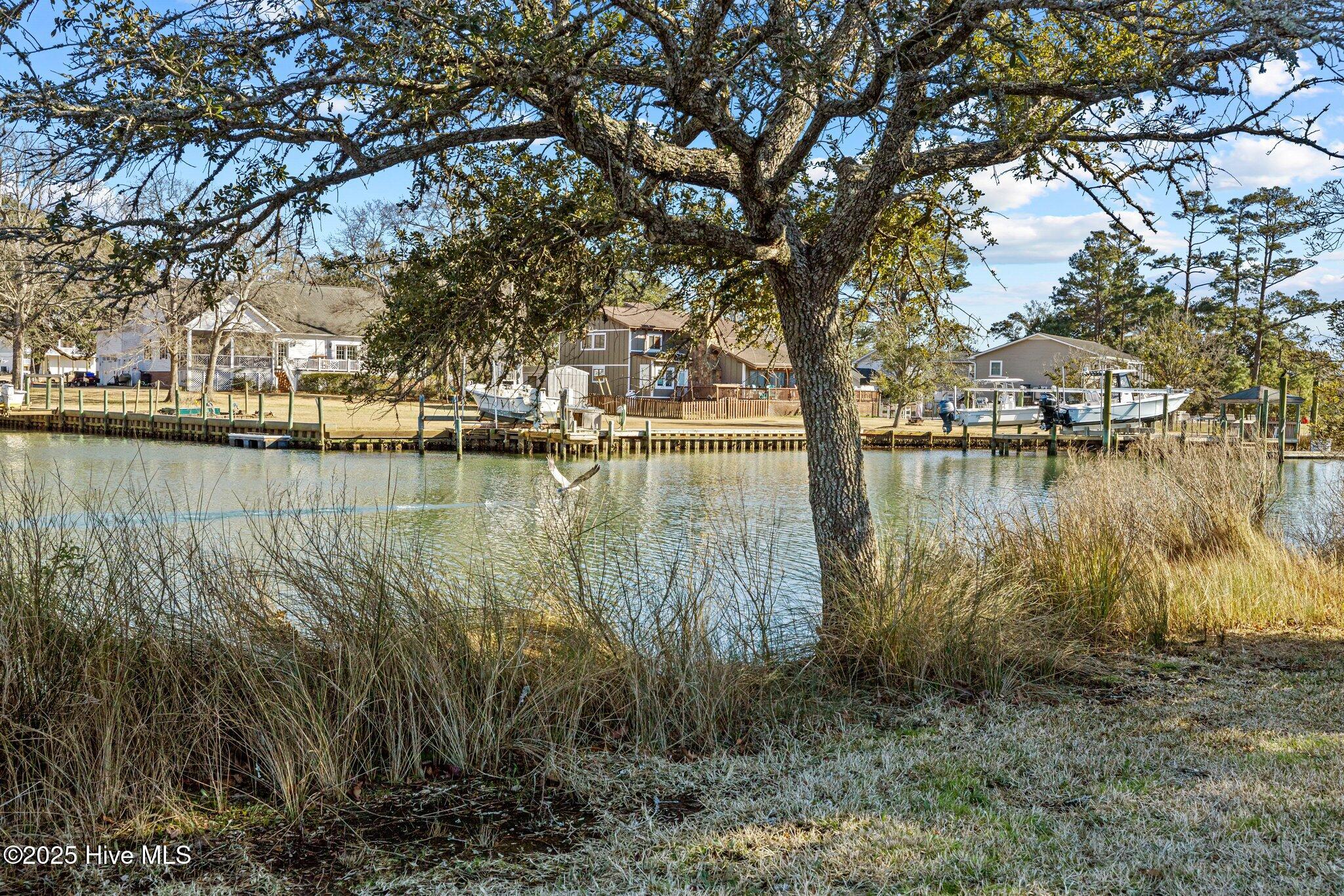 100534793 | Photo 14