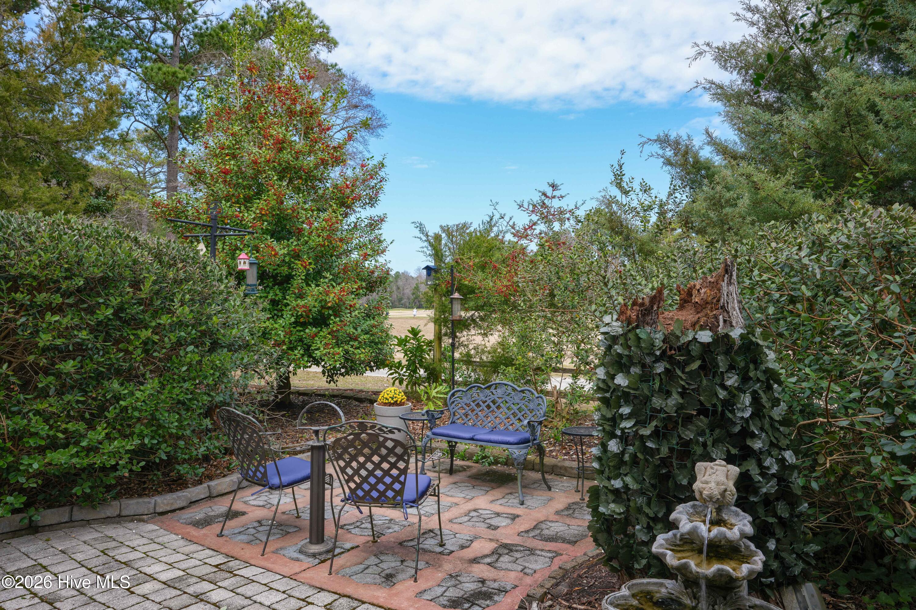 100559840 | Photo 56