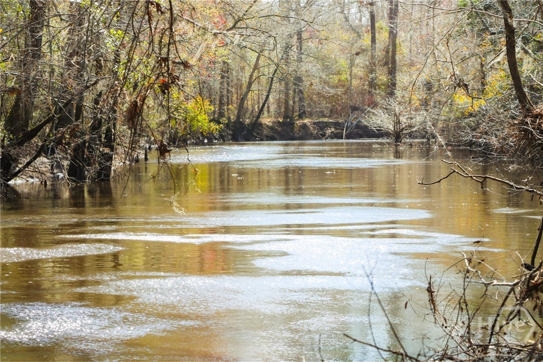0 Tillman Eason, Claxton, Georgia, 0 ,Land,For sale,Tillman Eason,SA341304