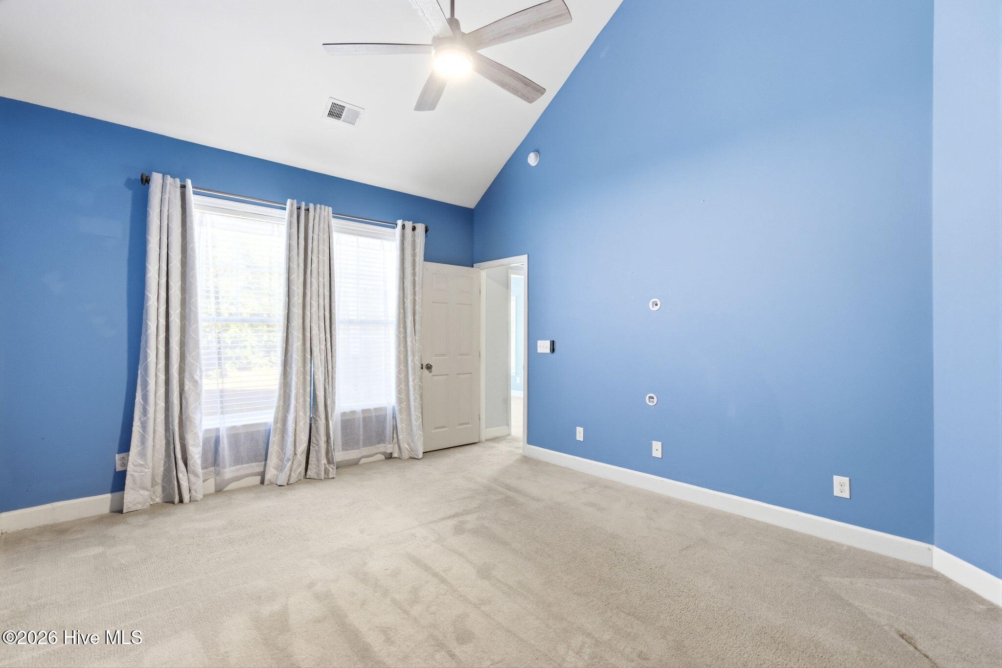 100564398 | Photo 18