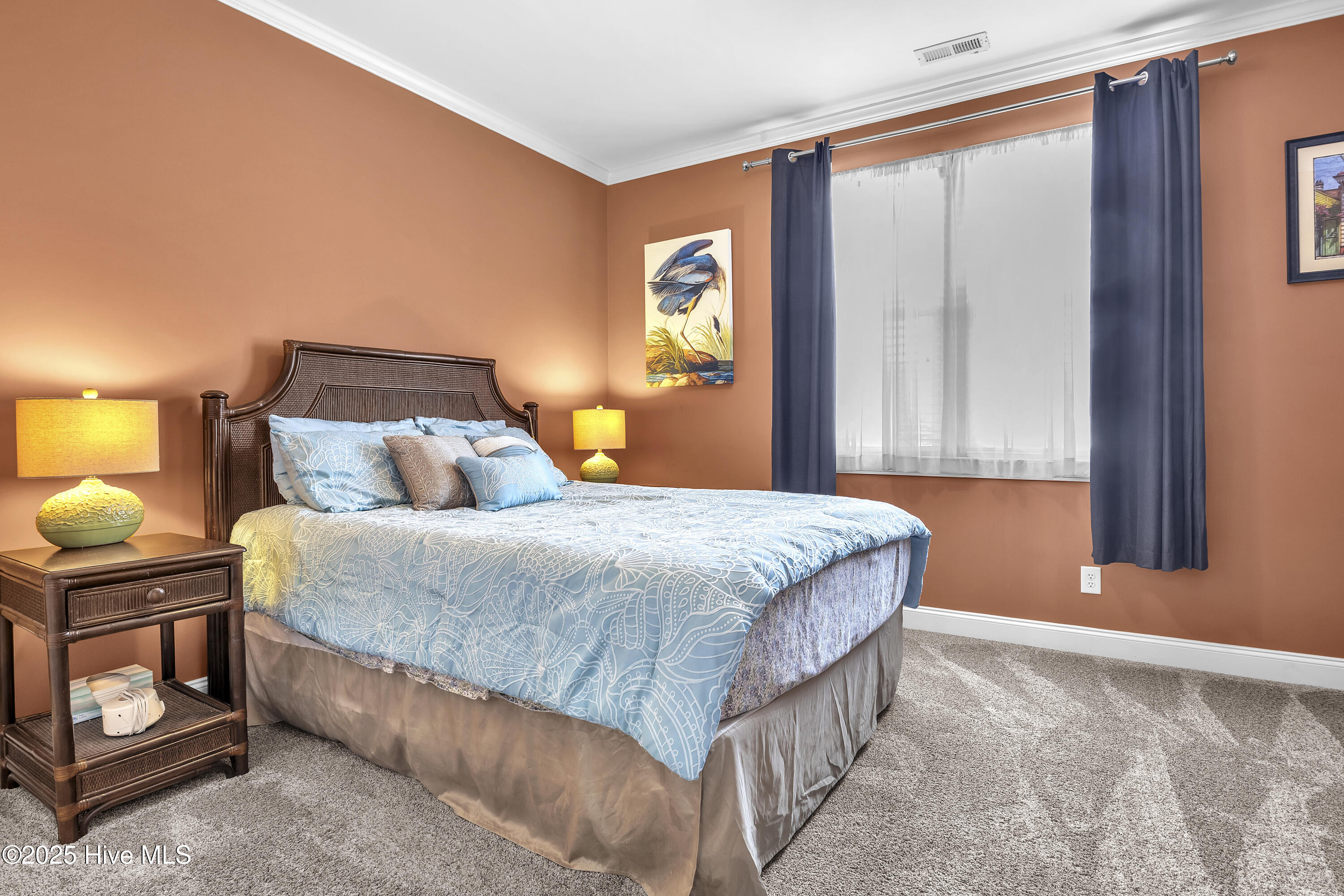 100529504 | Photo 29