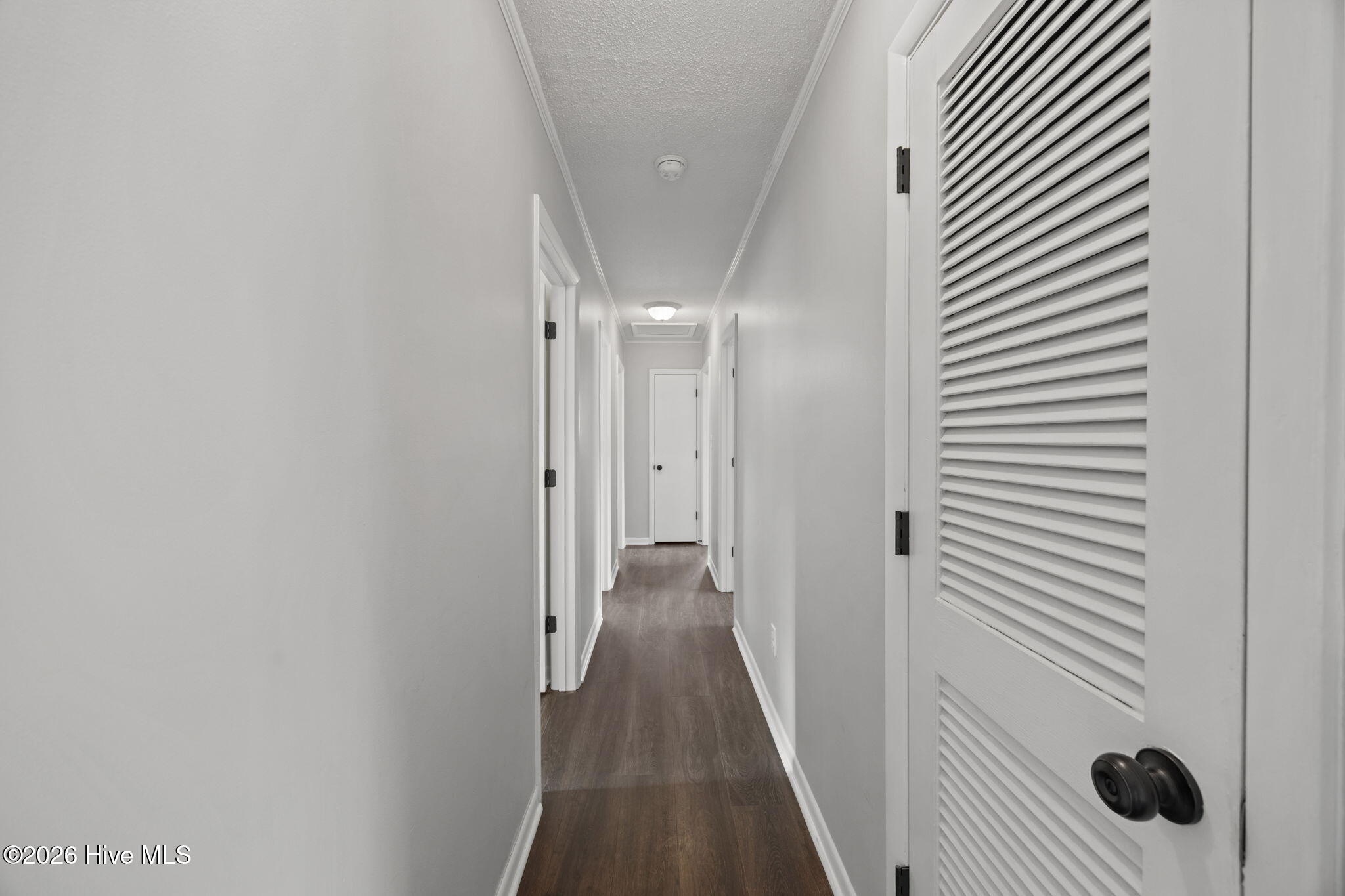 100559433 | Photo 25