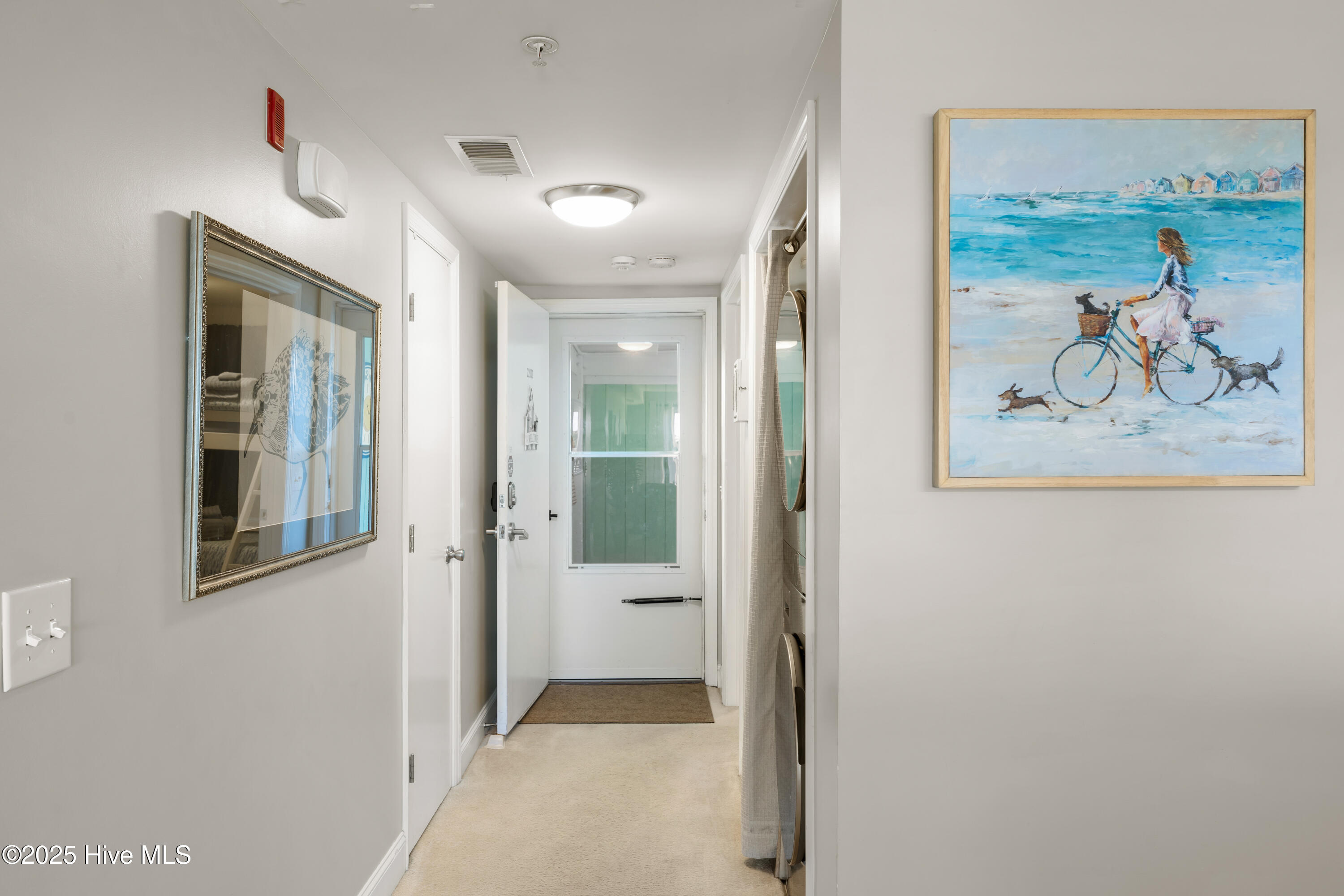 100562977 | Photo 16