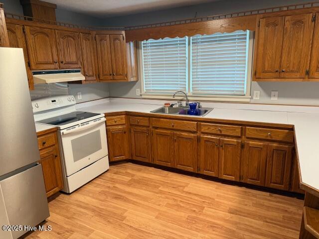 100523651 | Photo 13