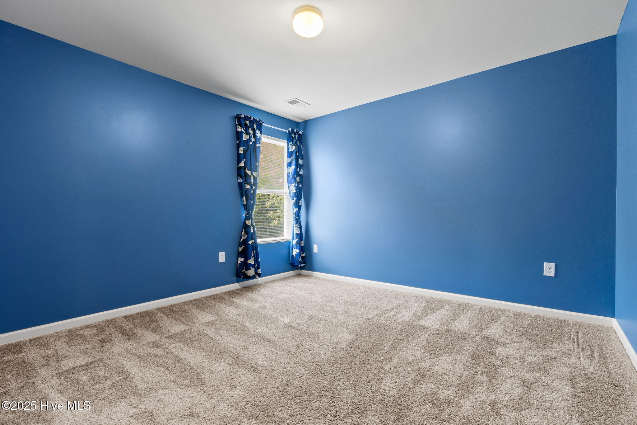 100517445 | Photo 28