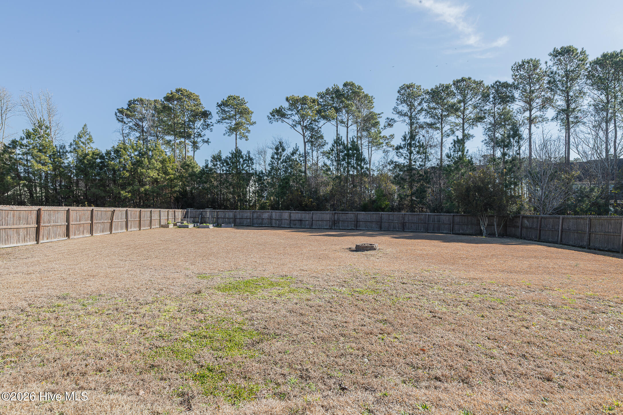 100554751 | Photo 64