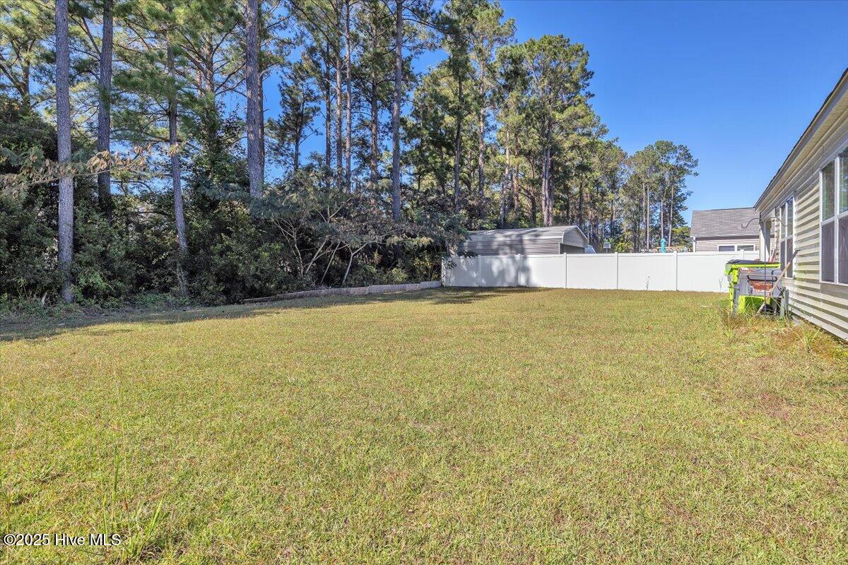 100538073 | Photo 35