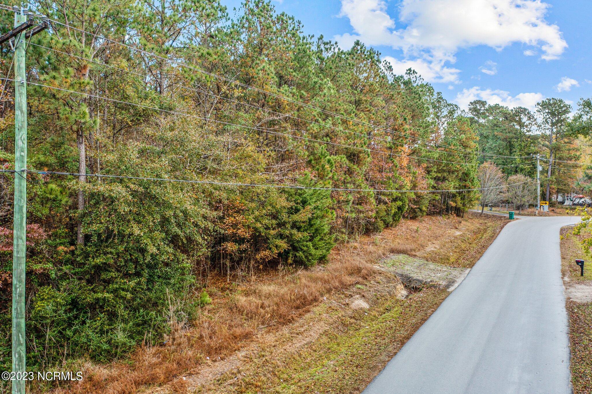 100415479 | Photo 25