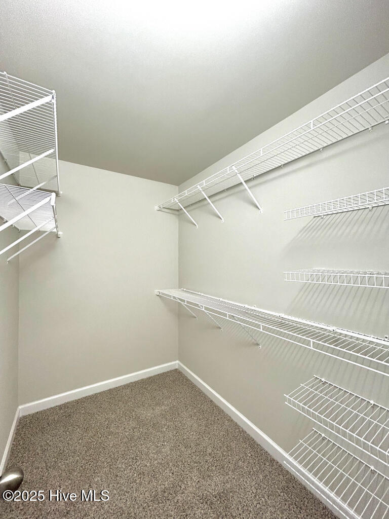 100522198 | Photo 51