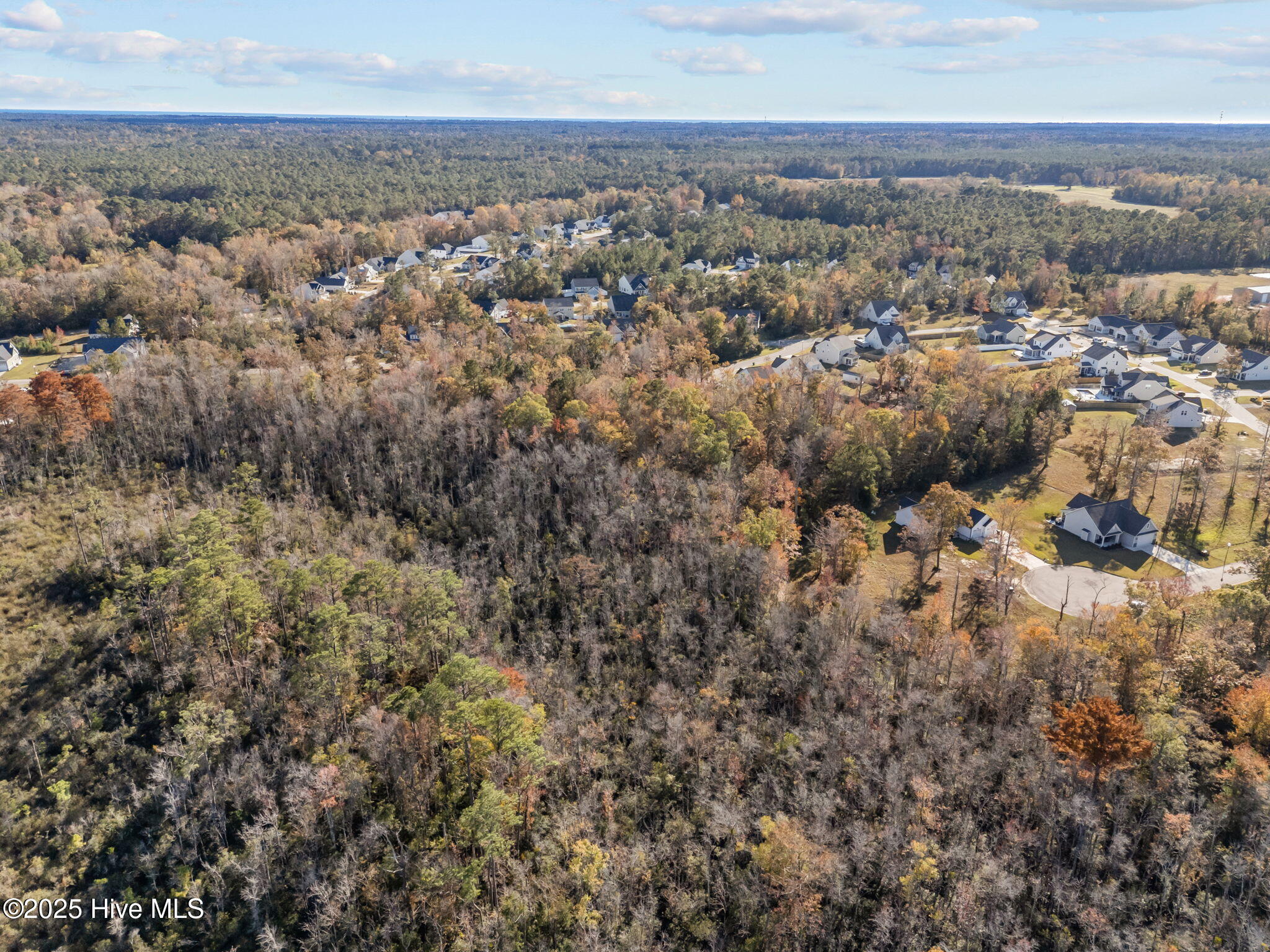 100540368 | Photo 15