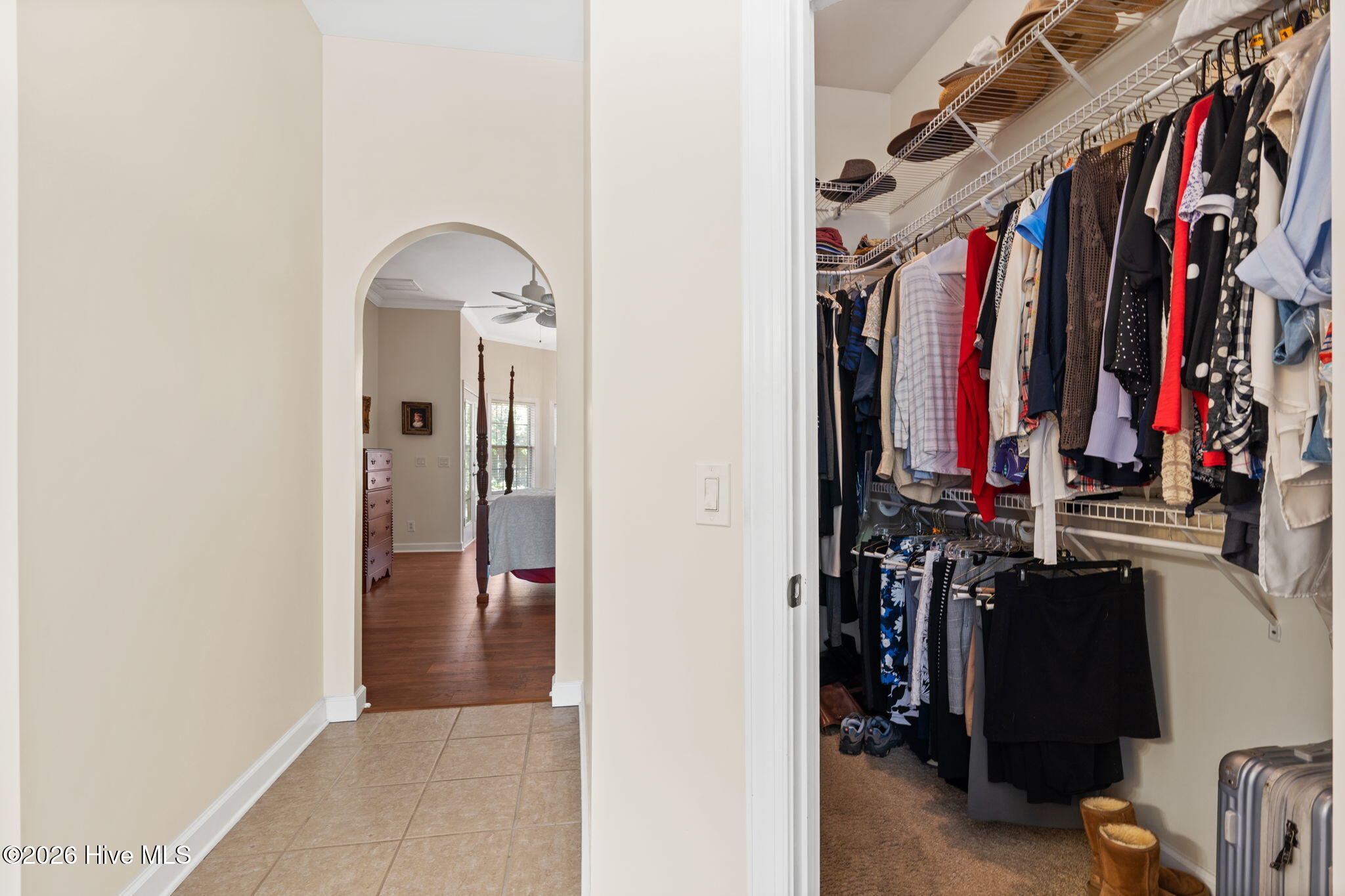 100567853 | Photo 22