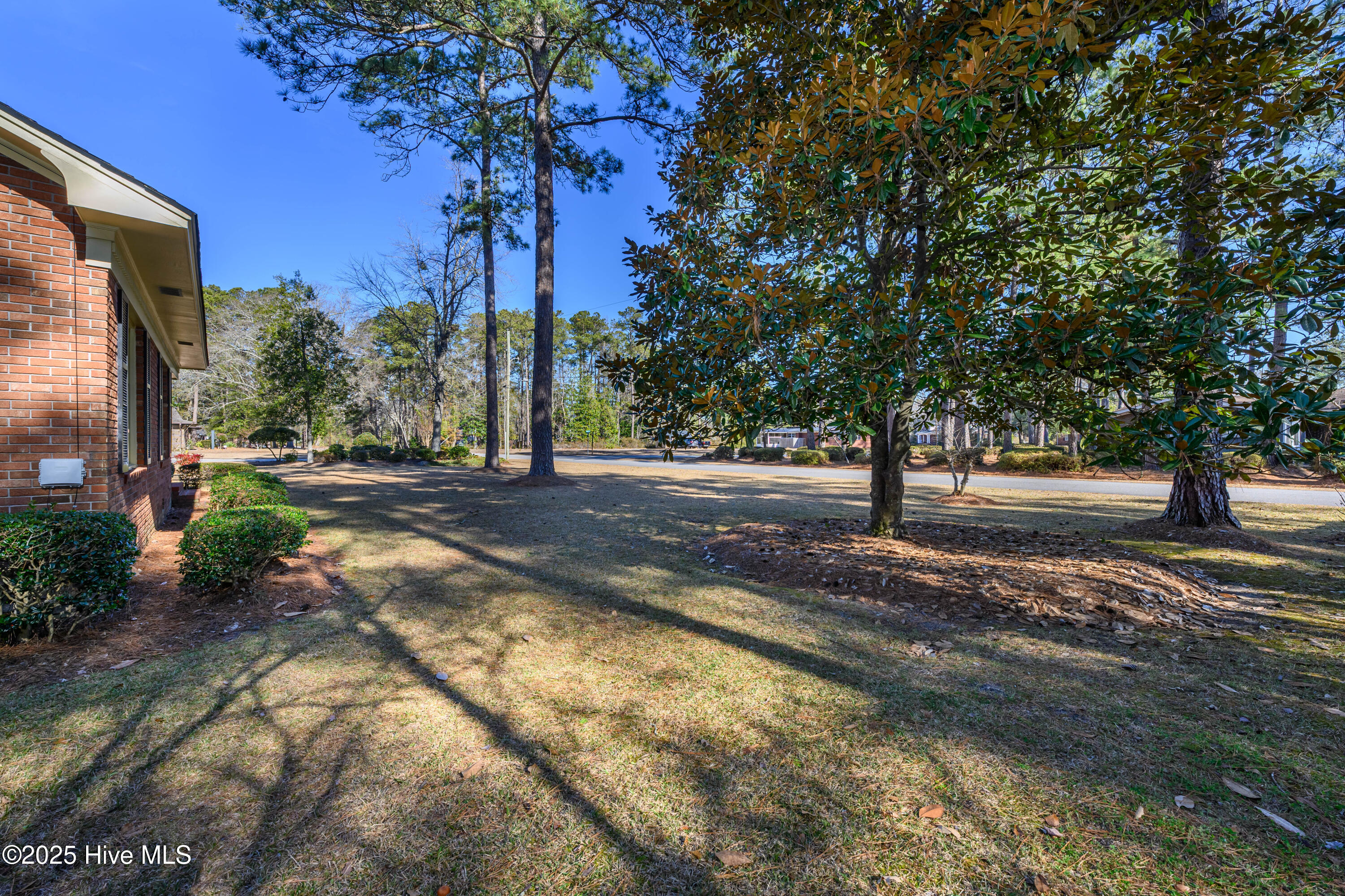 100484666 | Photo 31