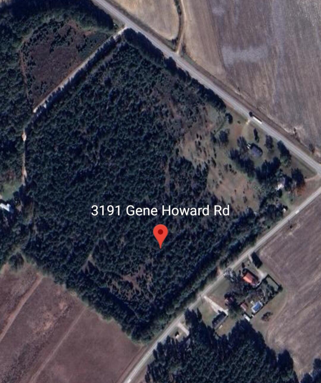 3191 GENE HOWARD Road, Stapleton, GA, 30823