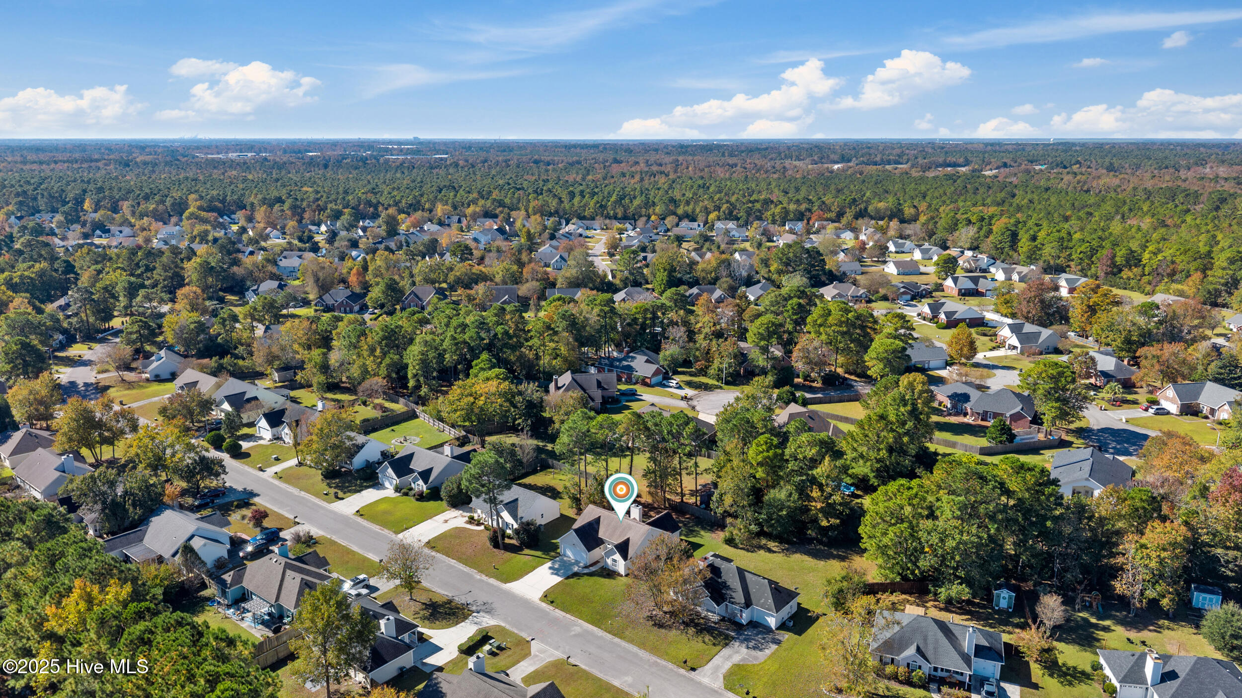 100540113 | Photo 32