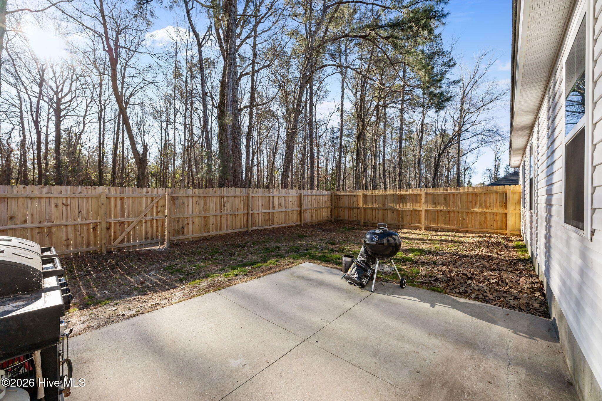 100553679 | Photo 43