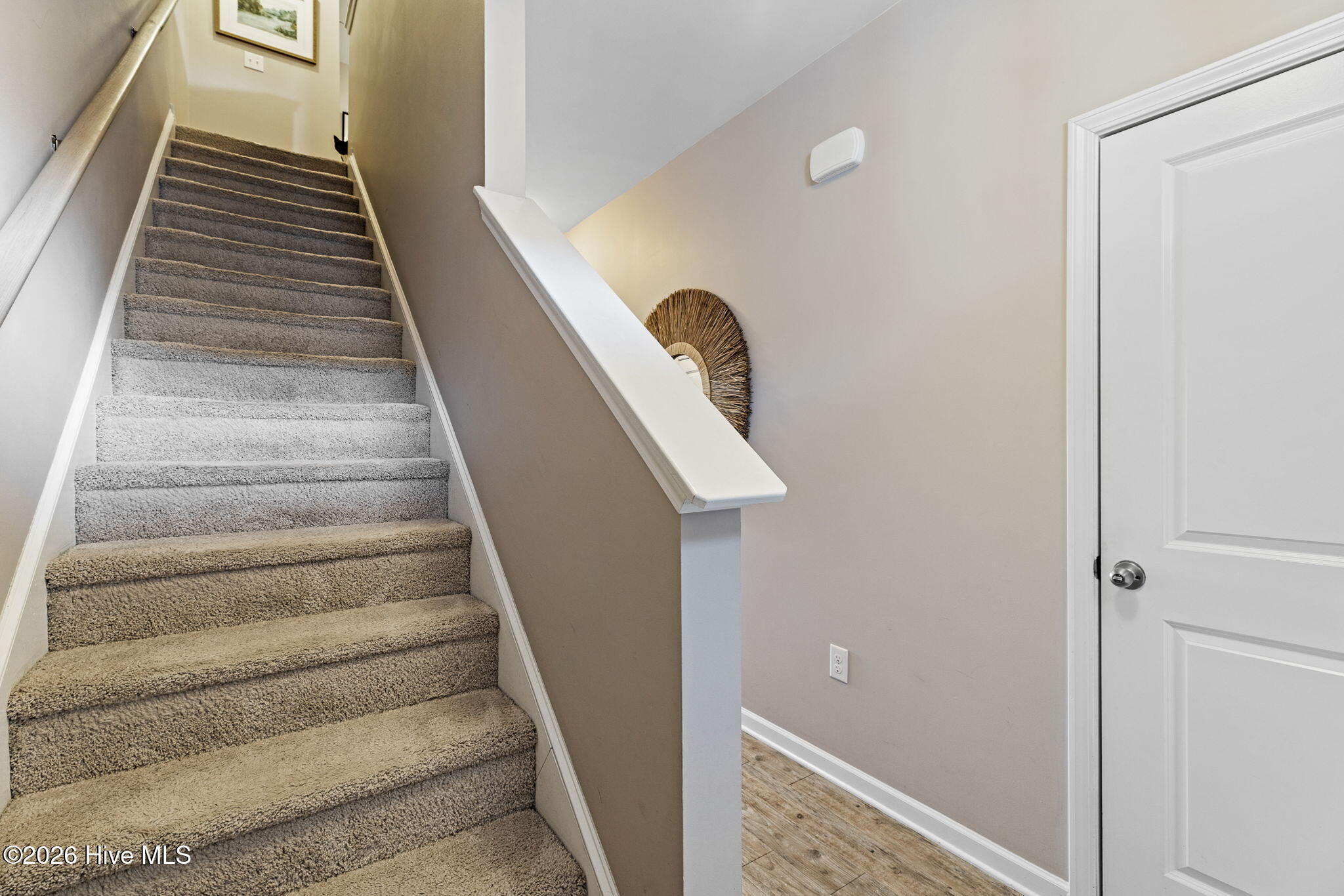 100556686 | Photo 19