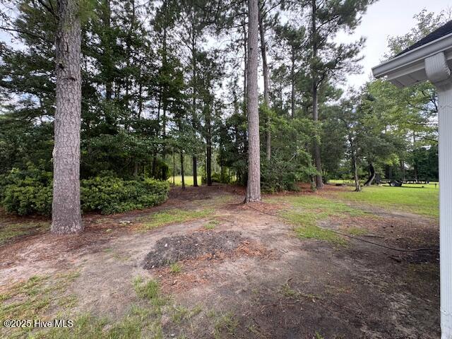 100522150 | Photo 17