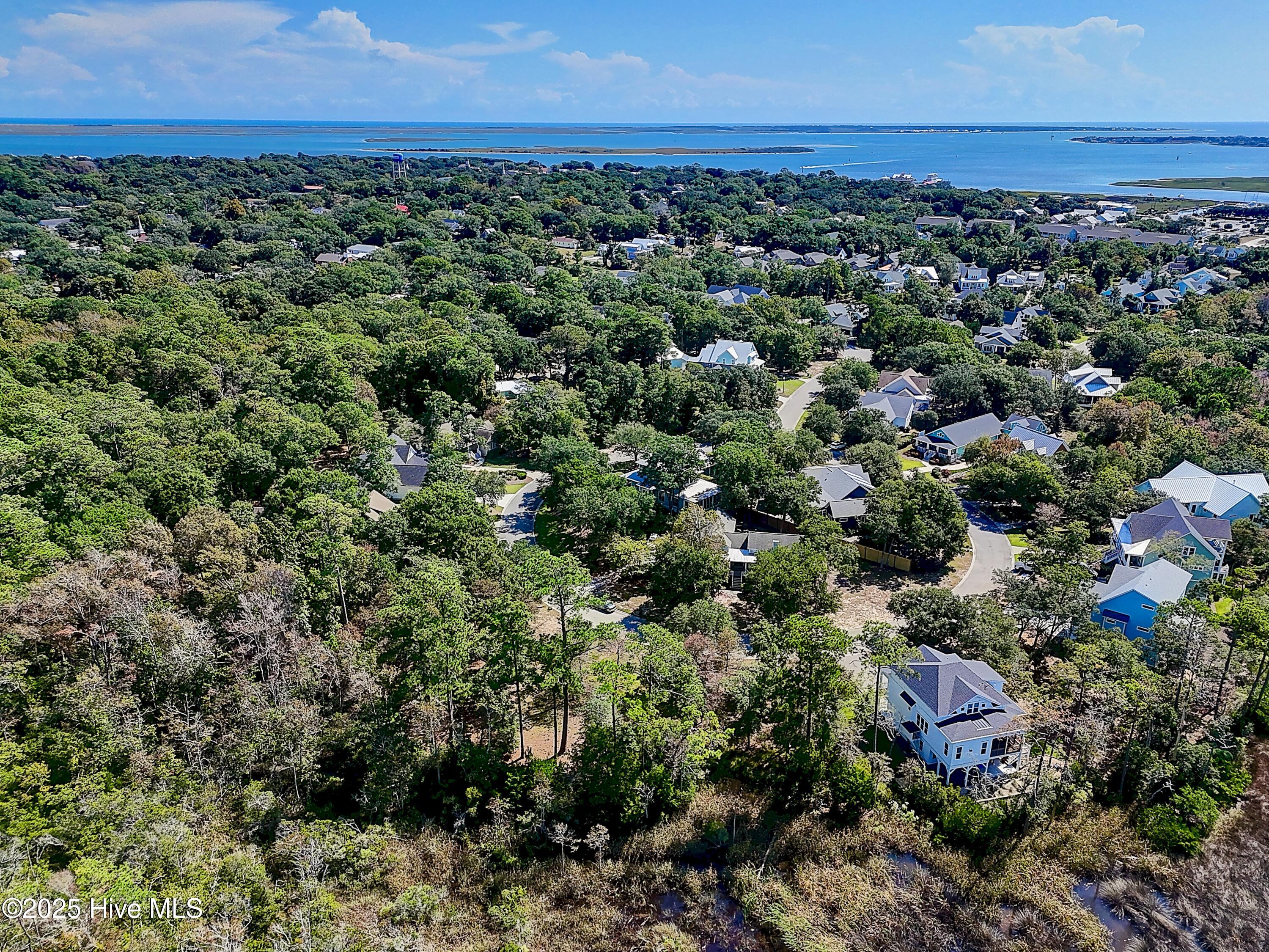 100533379 | Photo 11