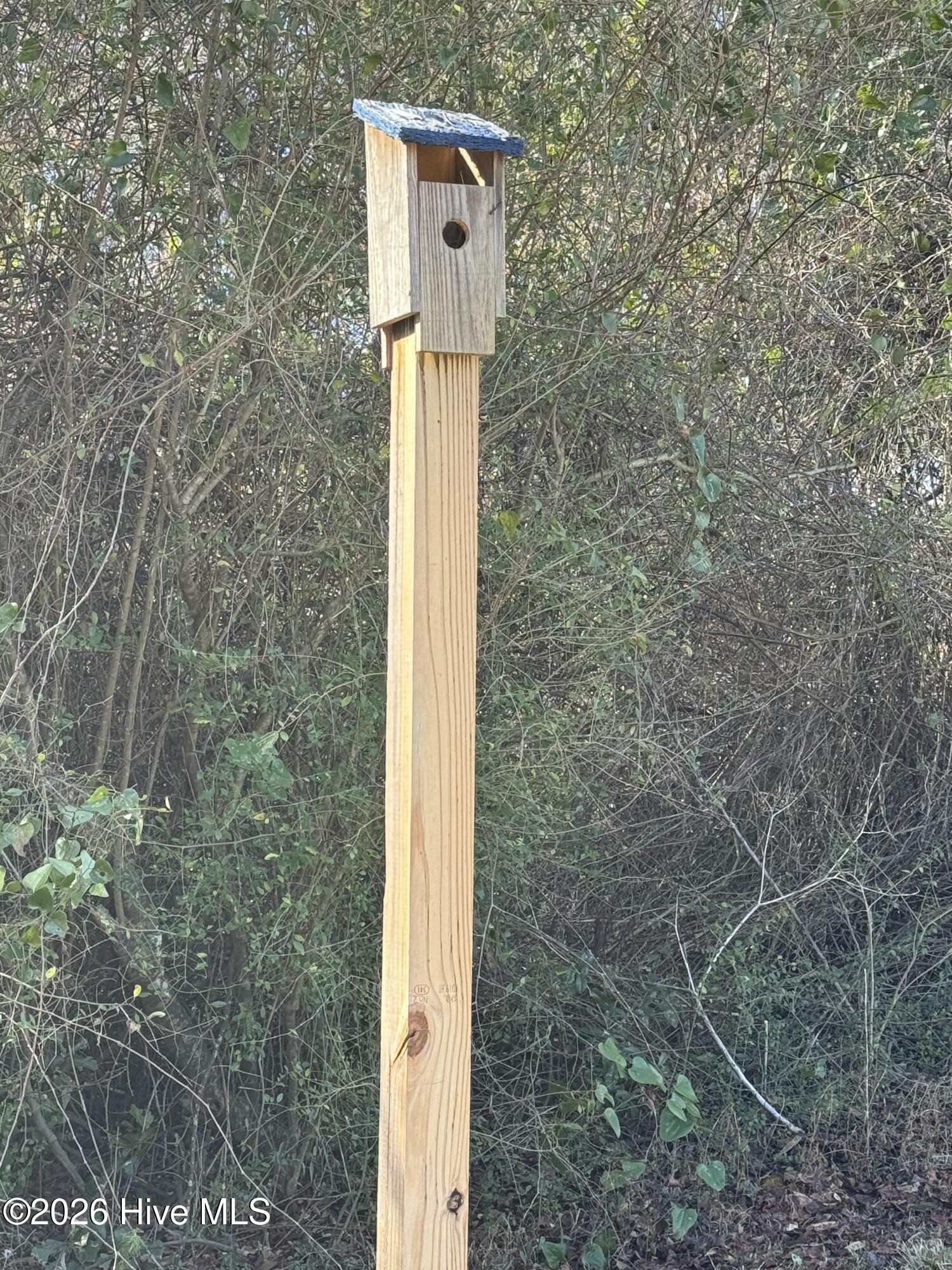 100542592 | Photo 10