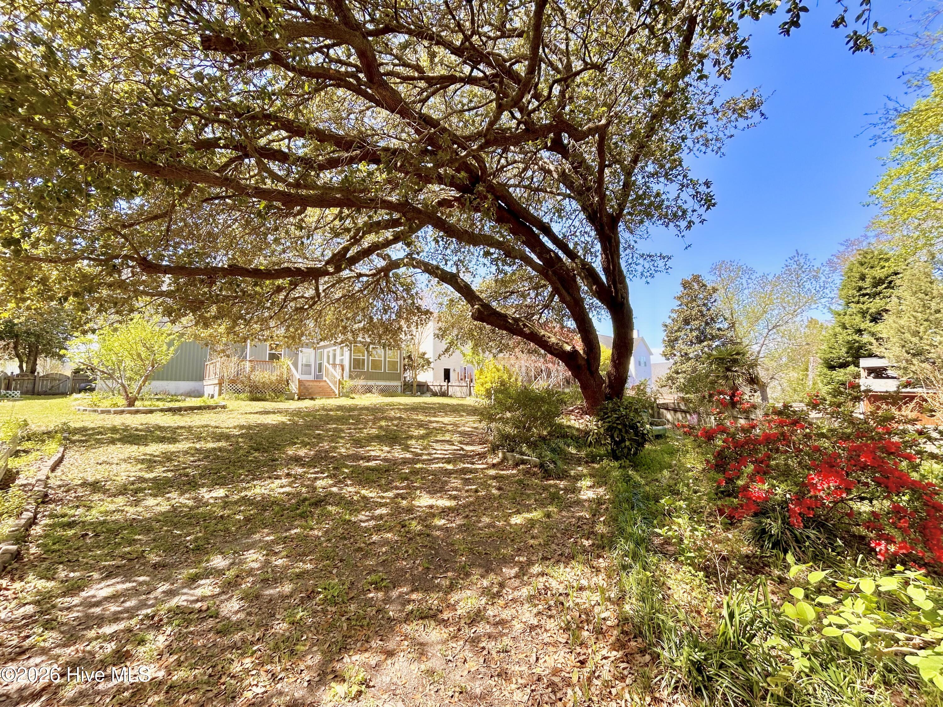 100564341 | Photo 46