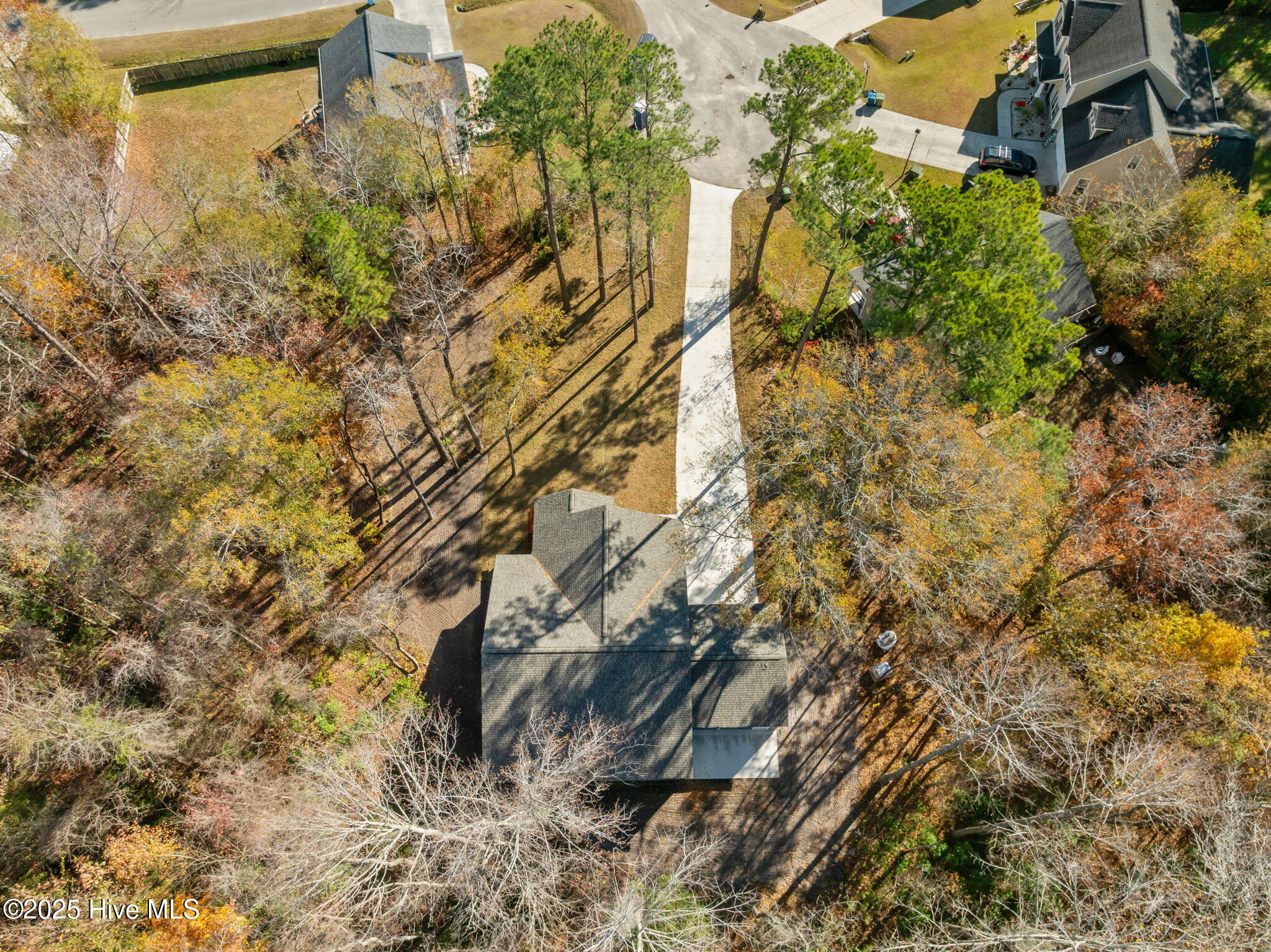 100542869 | Photo 49