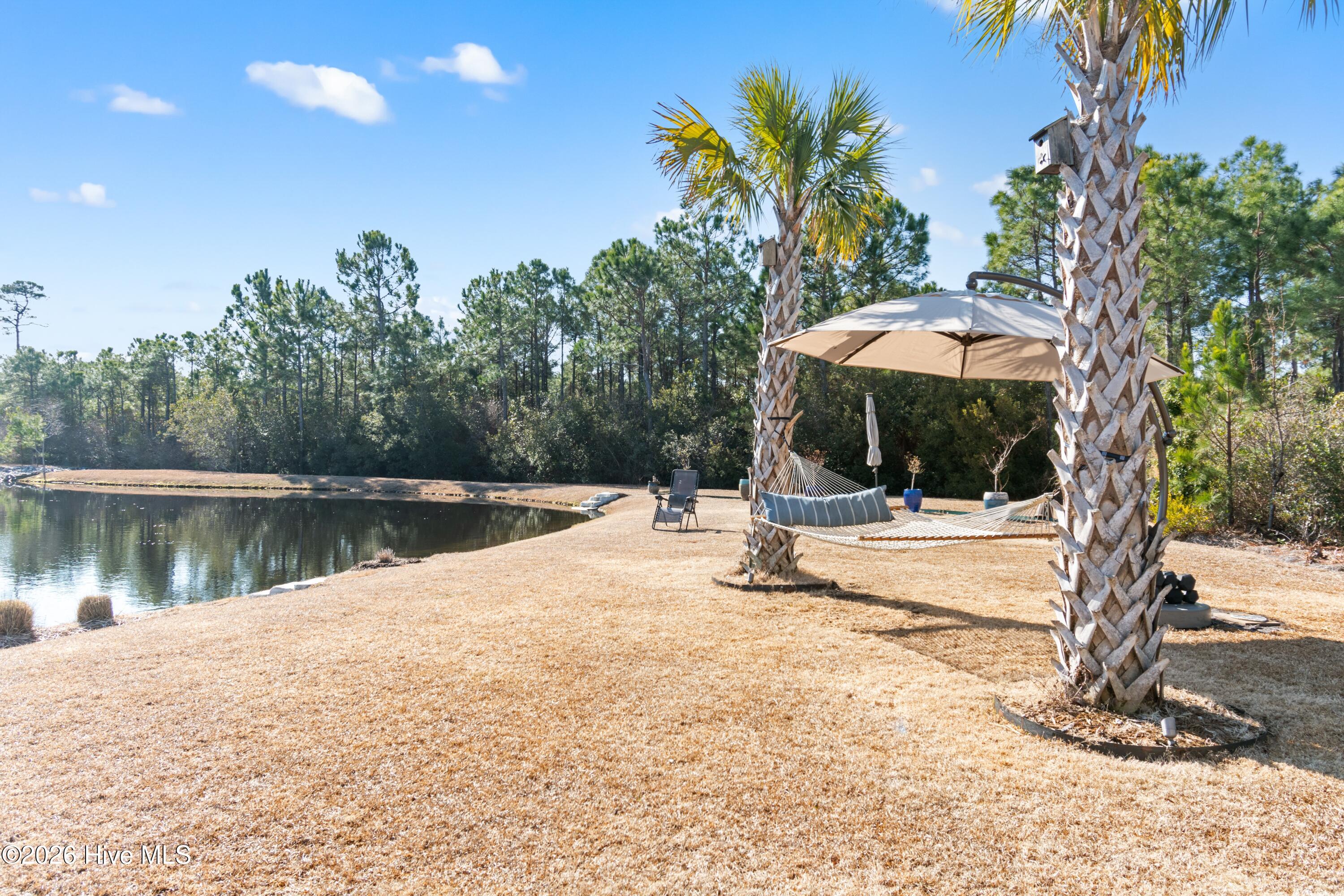 100560288 | Photo 58