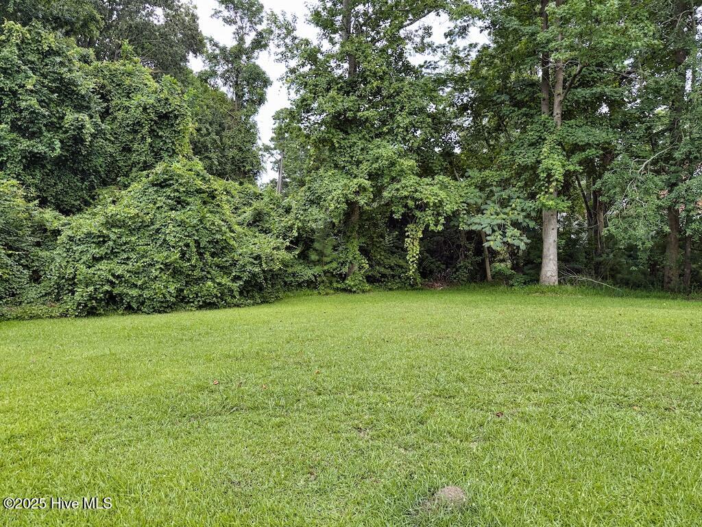 100519170 | Photo 42