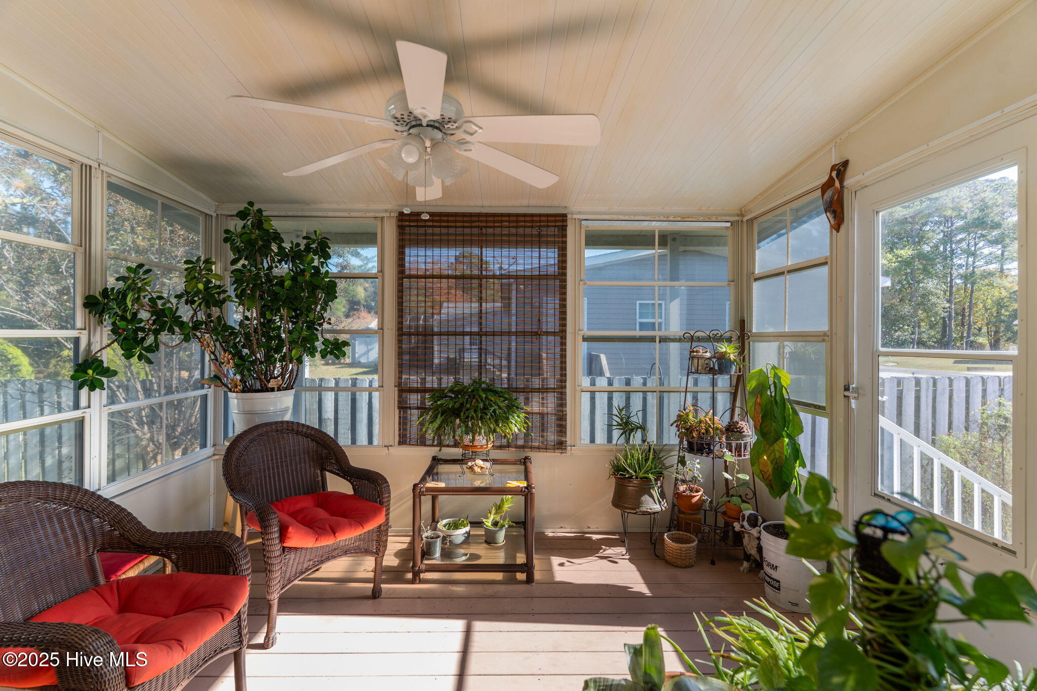 100535102 | Photo 29