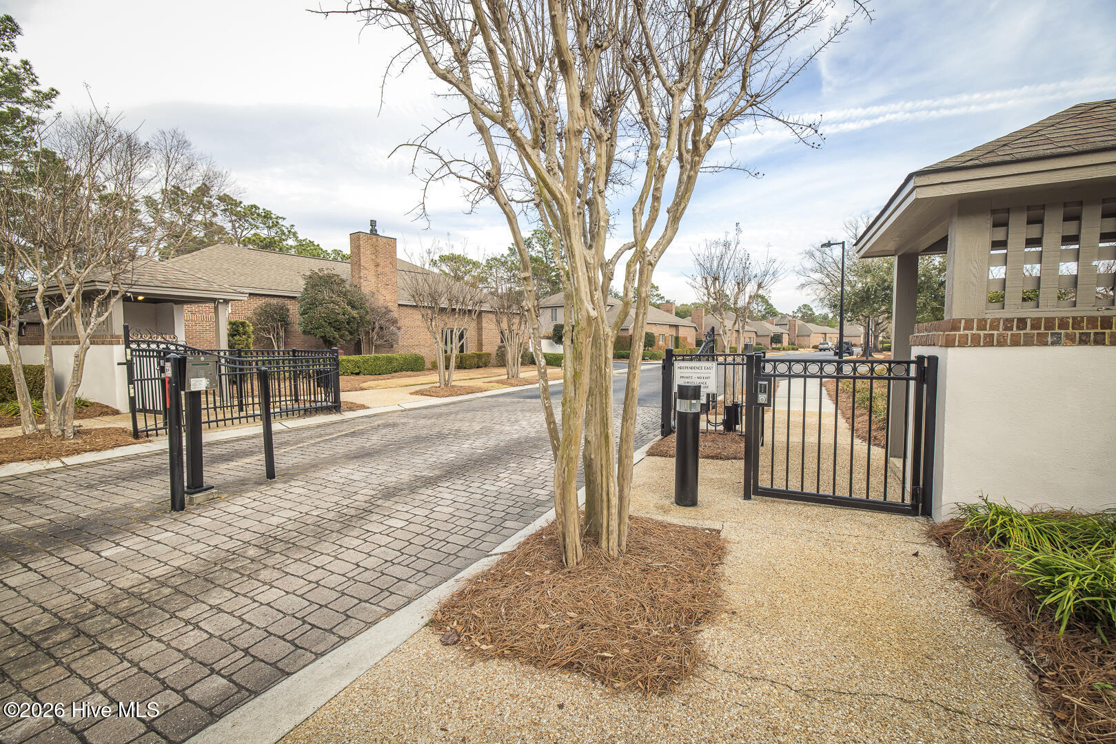 100549741 | Photo 38