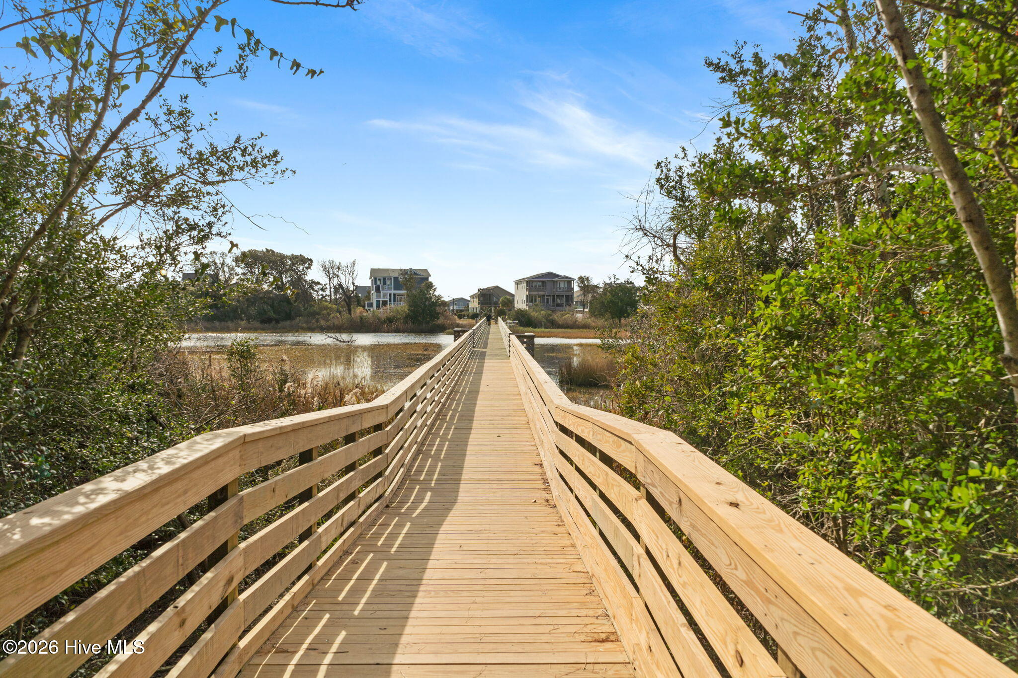 100568462 | Photo 30