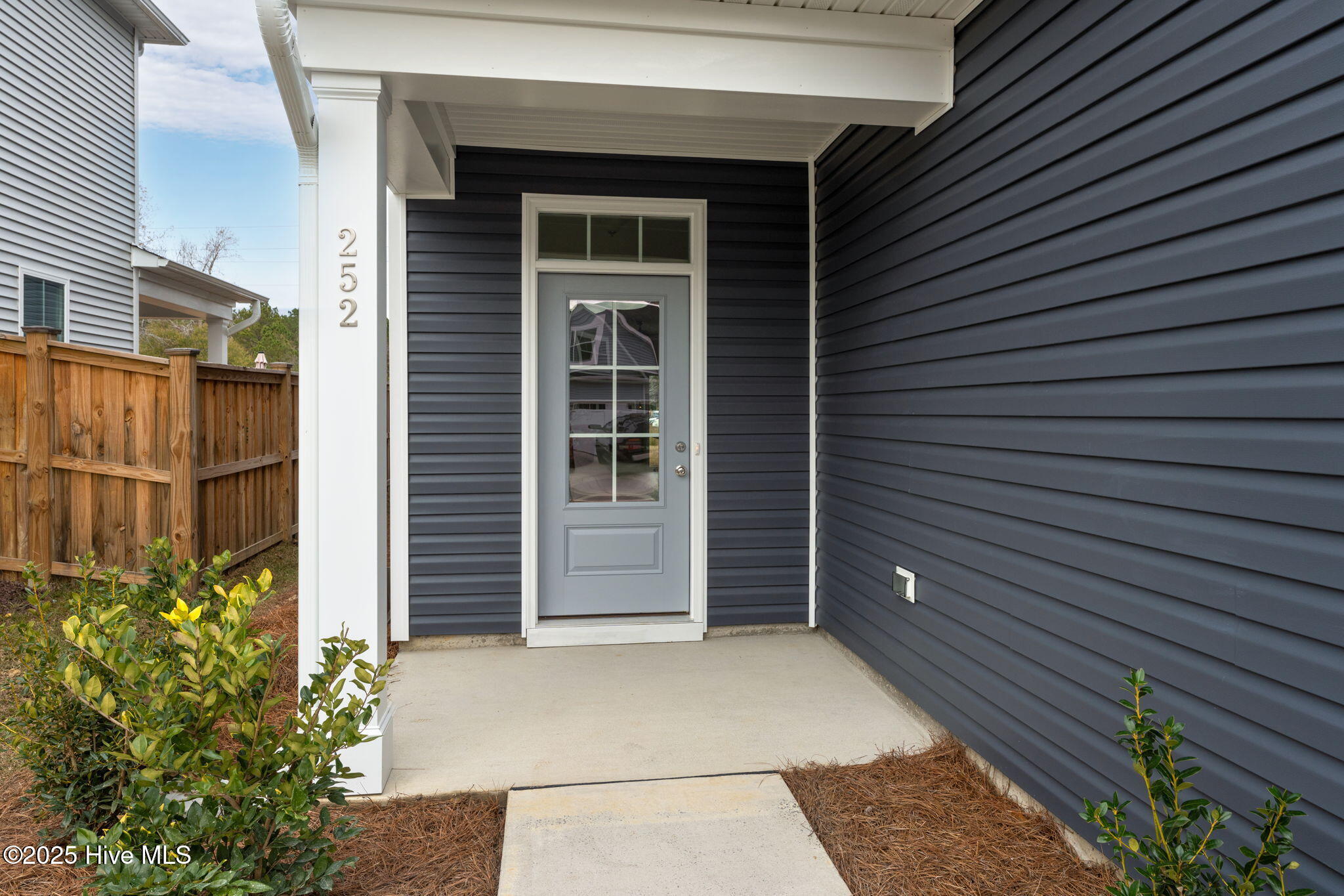 100508287 | Photo 51