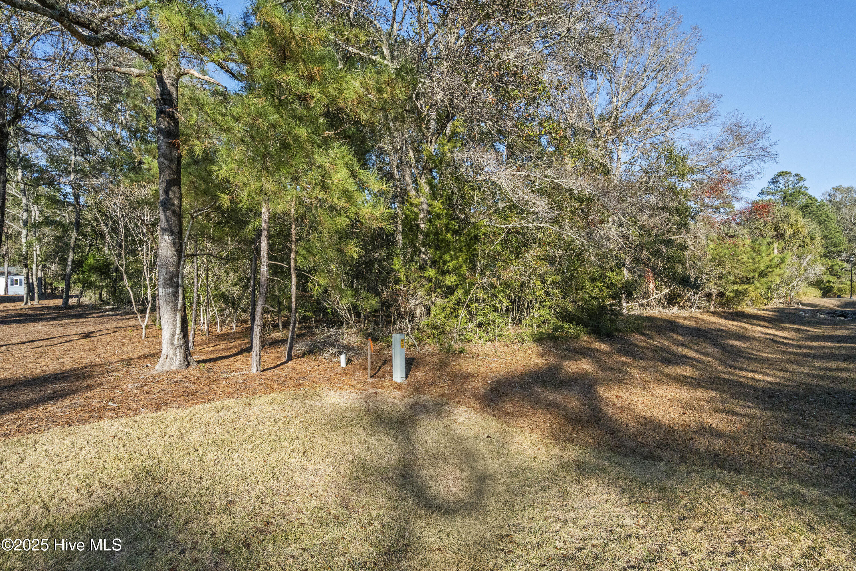 100545322 | Photo 10