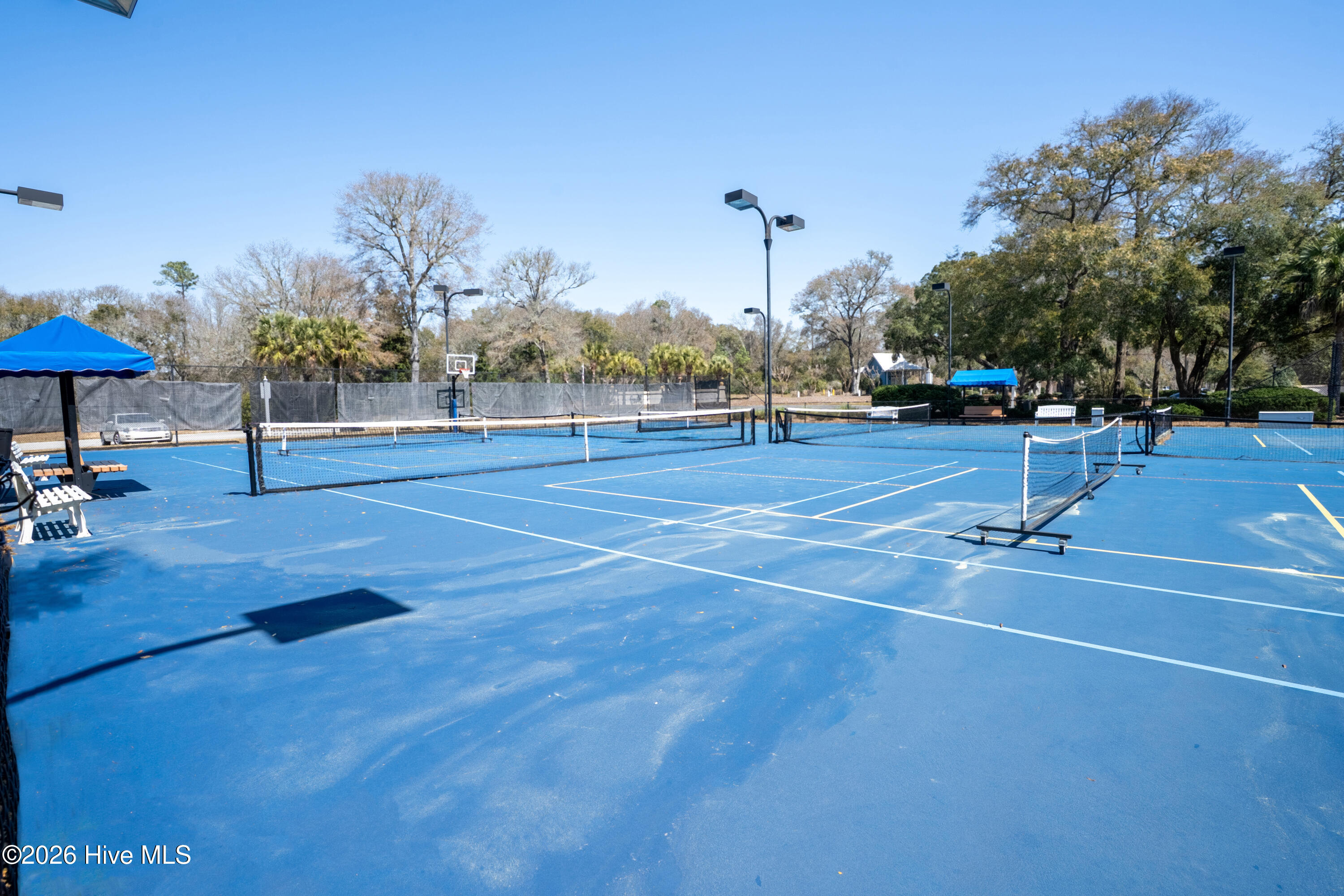 100558388 | Photo 29