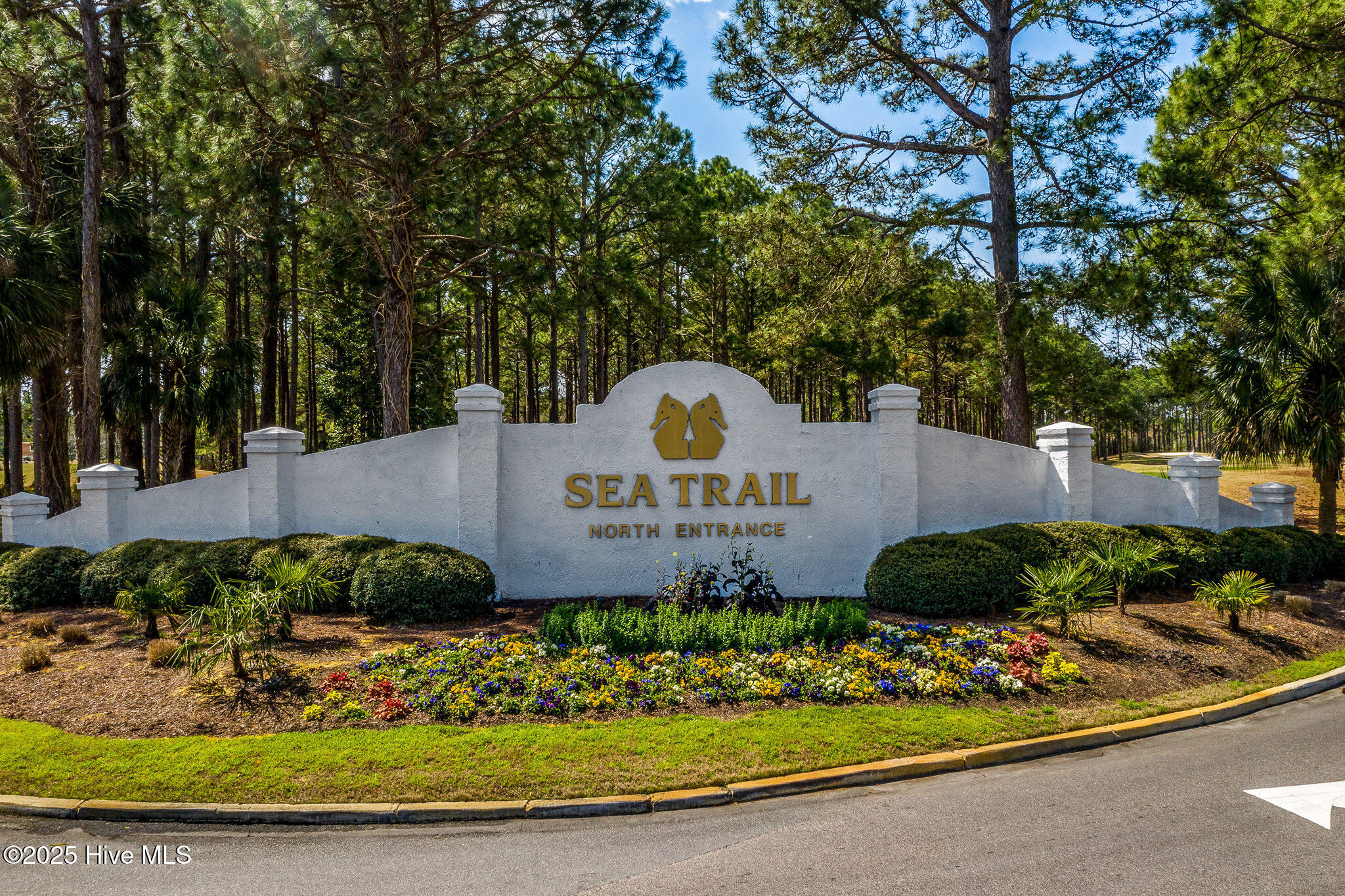 100526725 | Photo 58