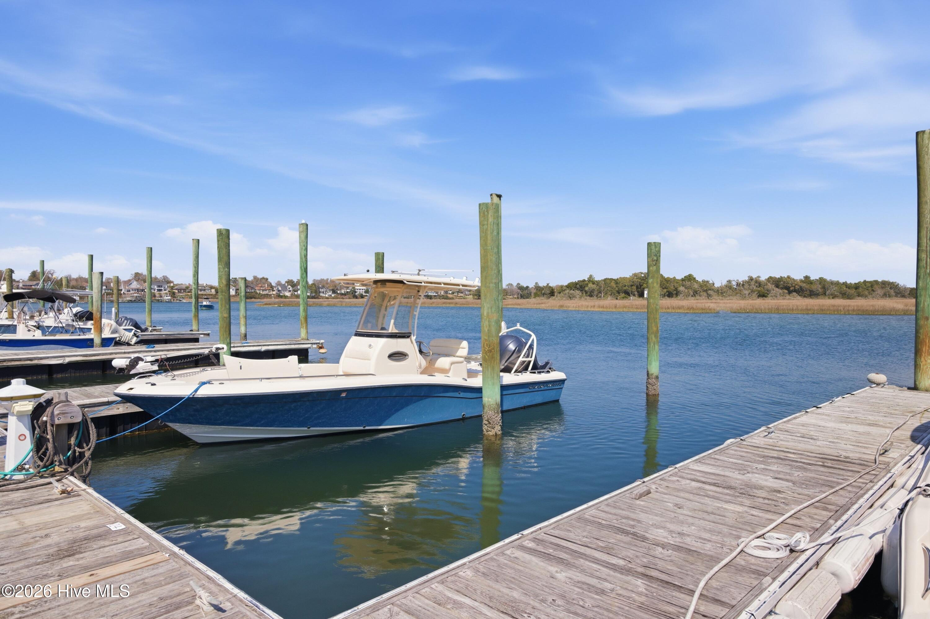 100559841 | Photo 25