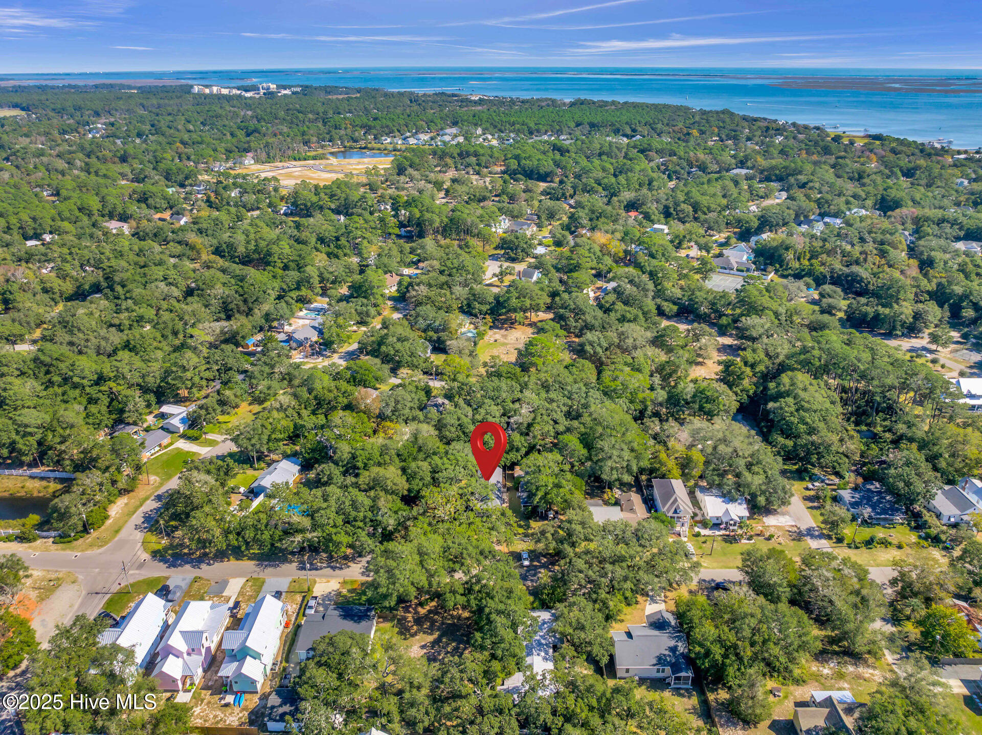 100538274 | Photo 45