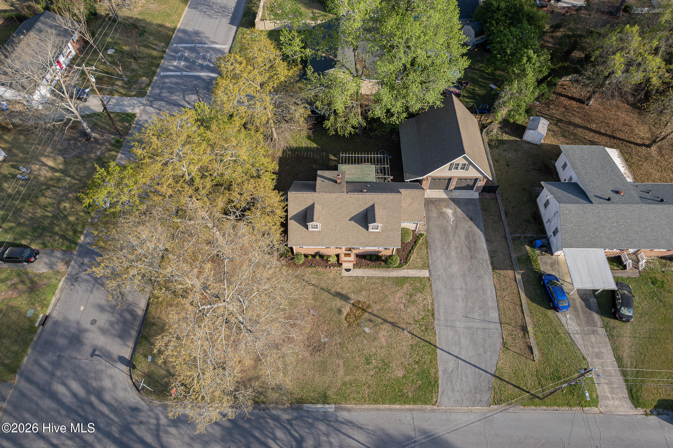 100563981 | Photo 55