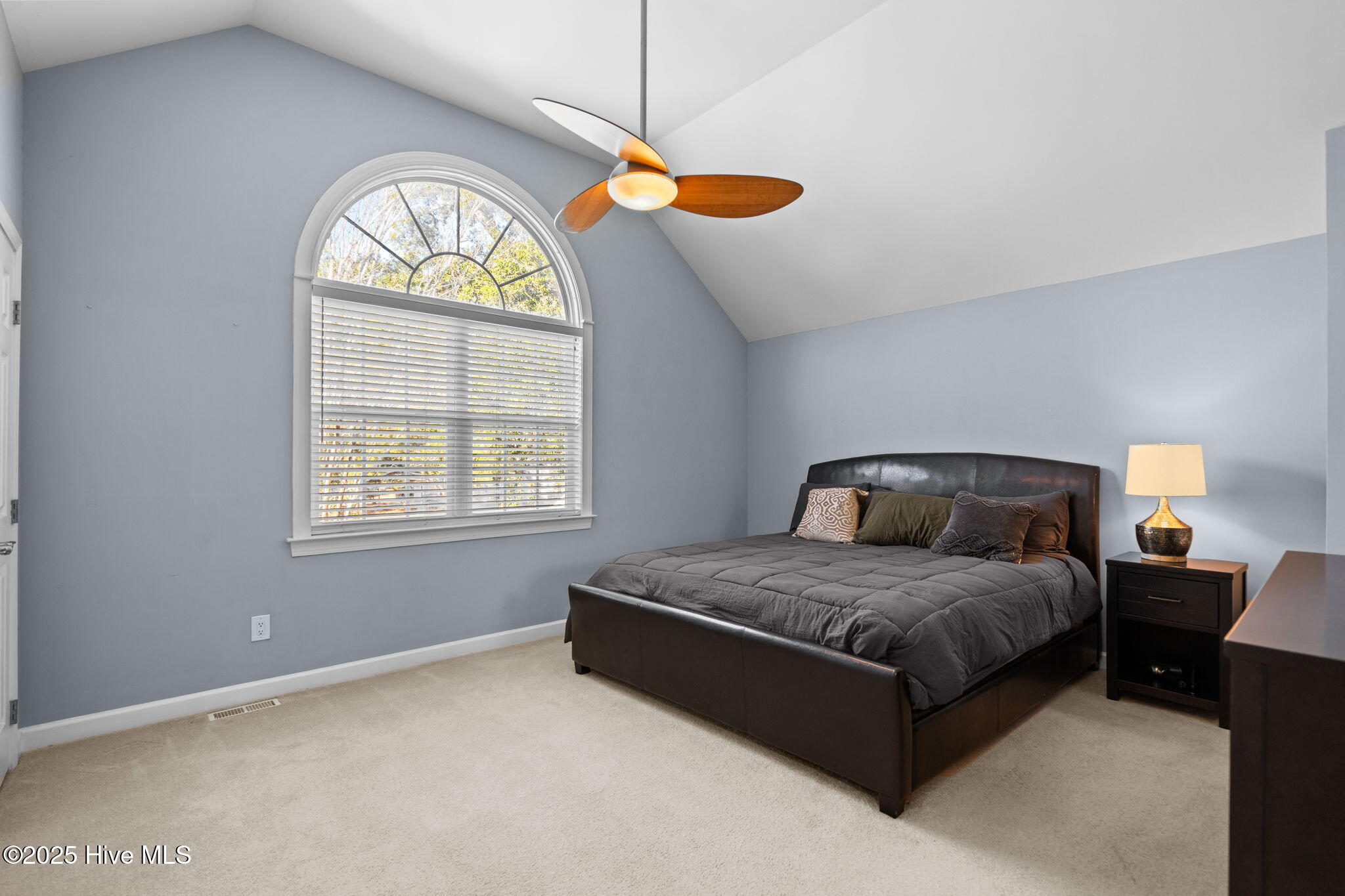 100546041 | Photo 26