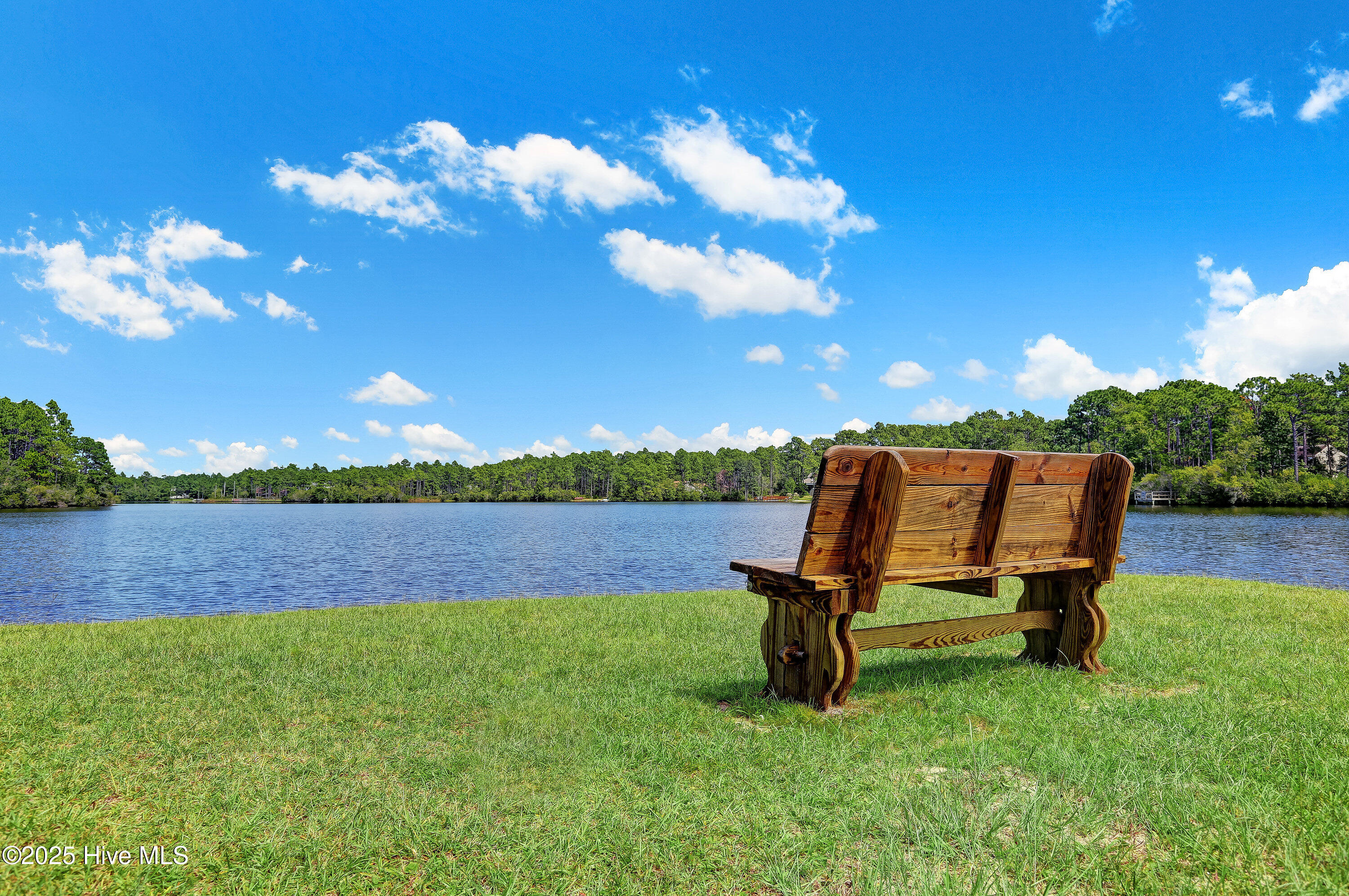 100517847 | Photo 34