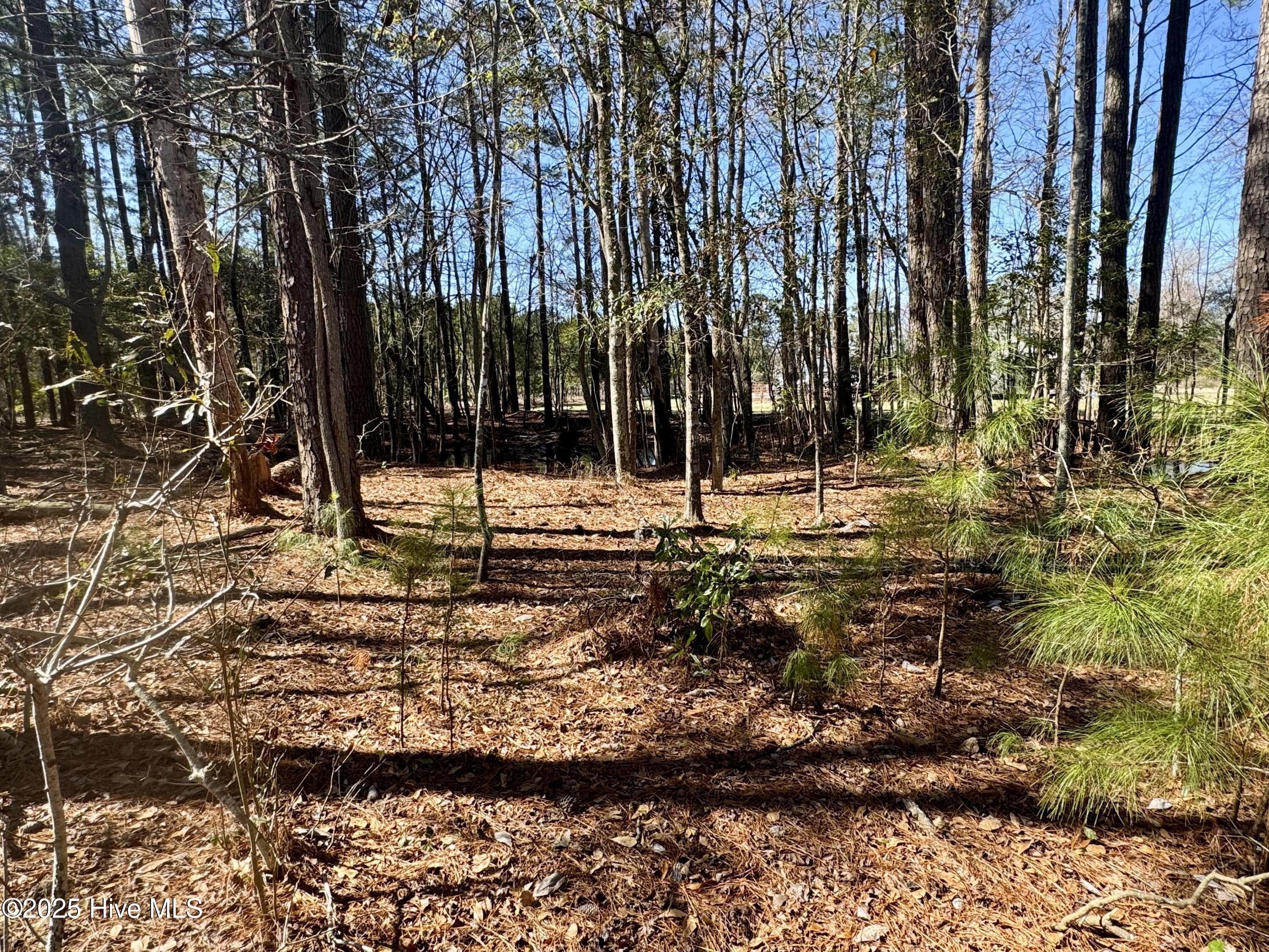 100490813 | Photo 29